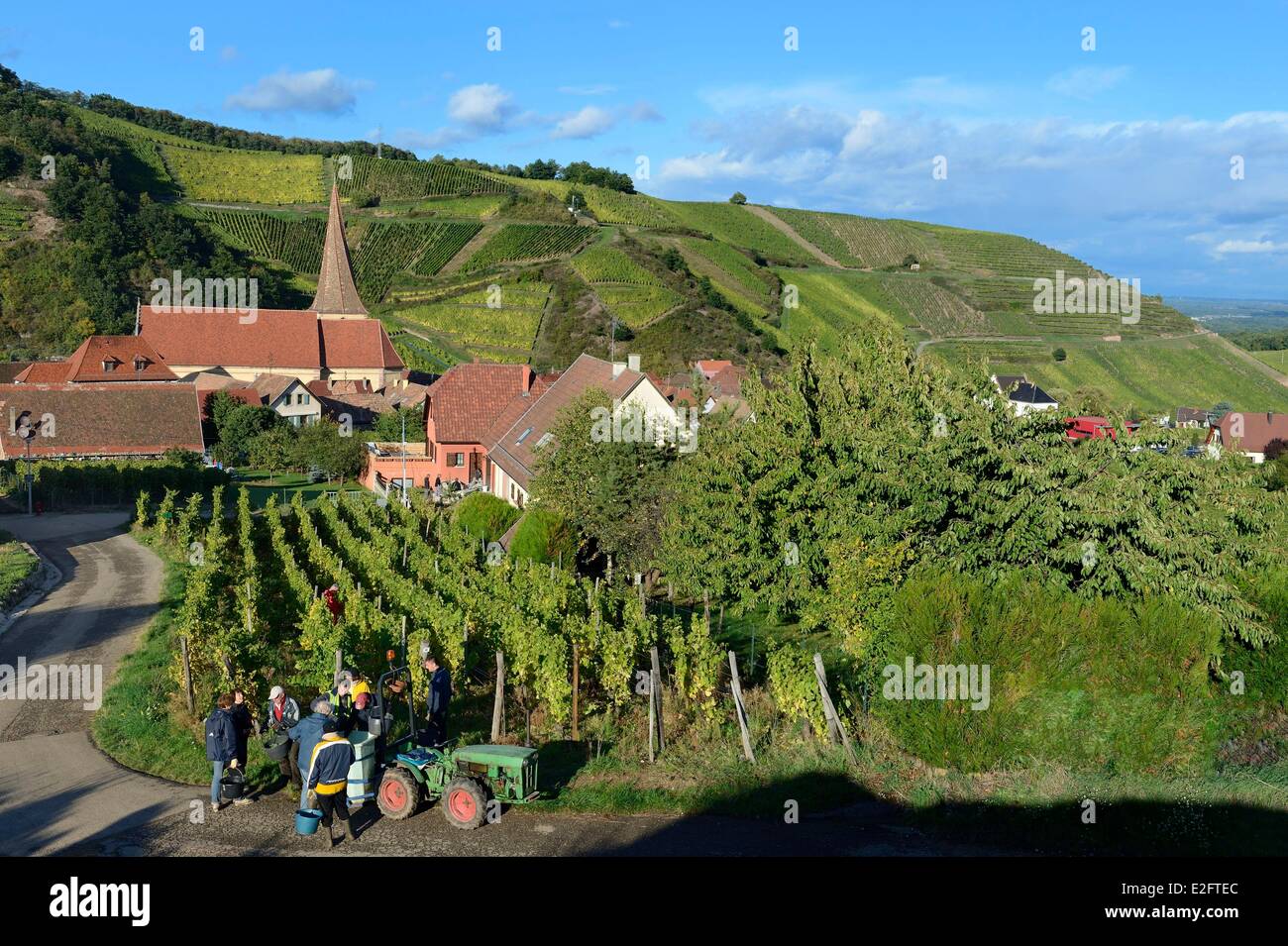 France Haut Rhin Alsace Niedermorschwihr le village dans le vignoble et son église avec un clocher tordu grape Banque D'Images