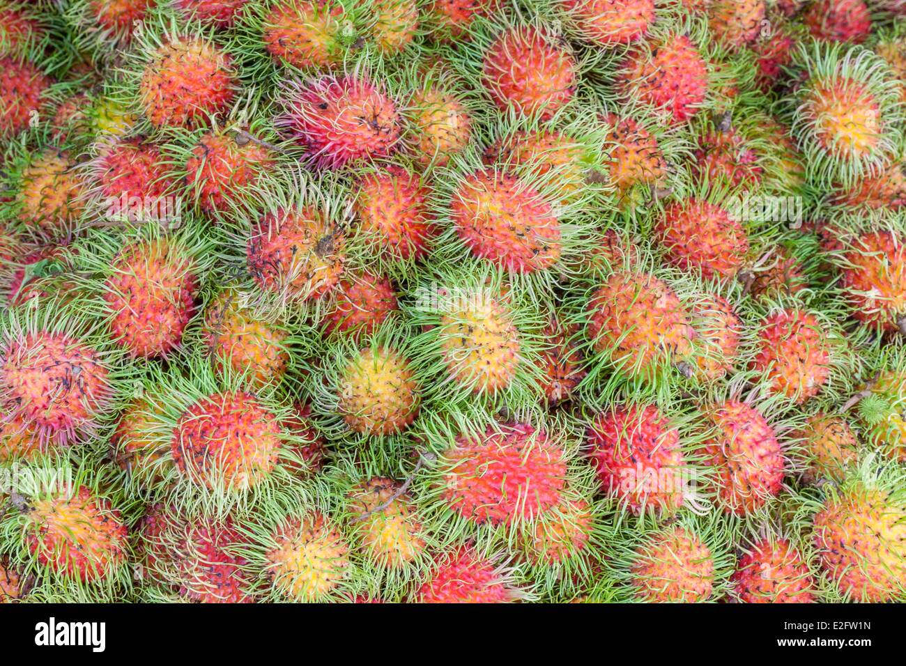 Thaïlande Bangkok Pak Khlong Talat Nephelium lappaceum ramboutan (marché) Banque D'Images