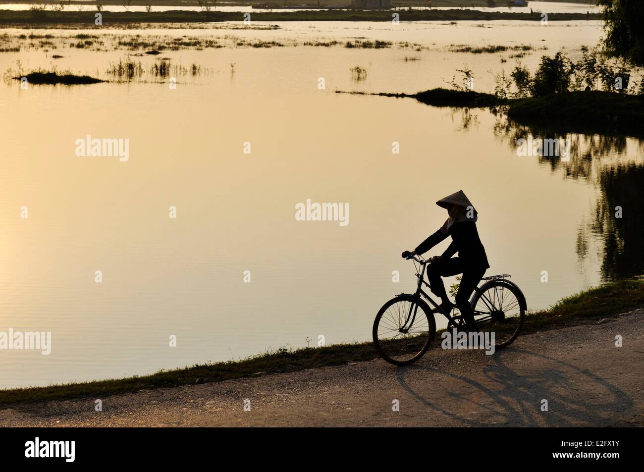 Vietnam Ninh Binh salon surnommé Baie d'Ha Long terrestre Ken Ga près de Hoa Lu cycliste sur la digue Banque D'Images