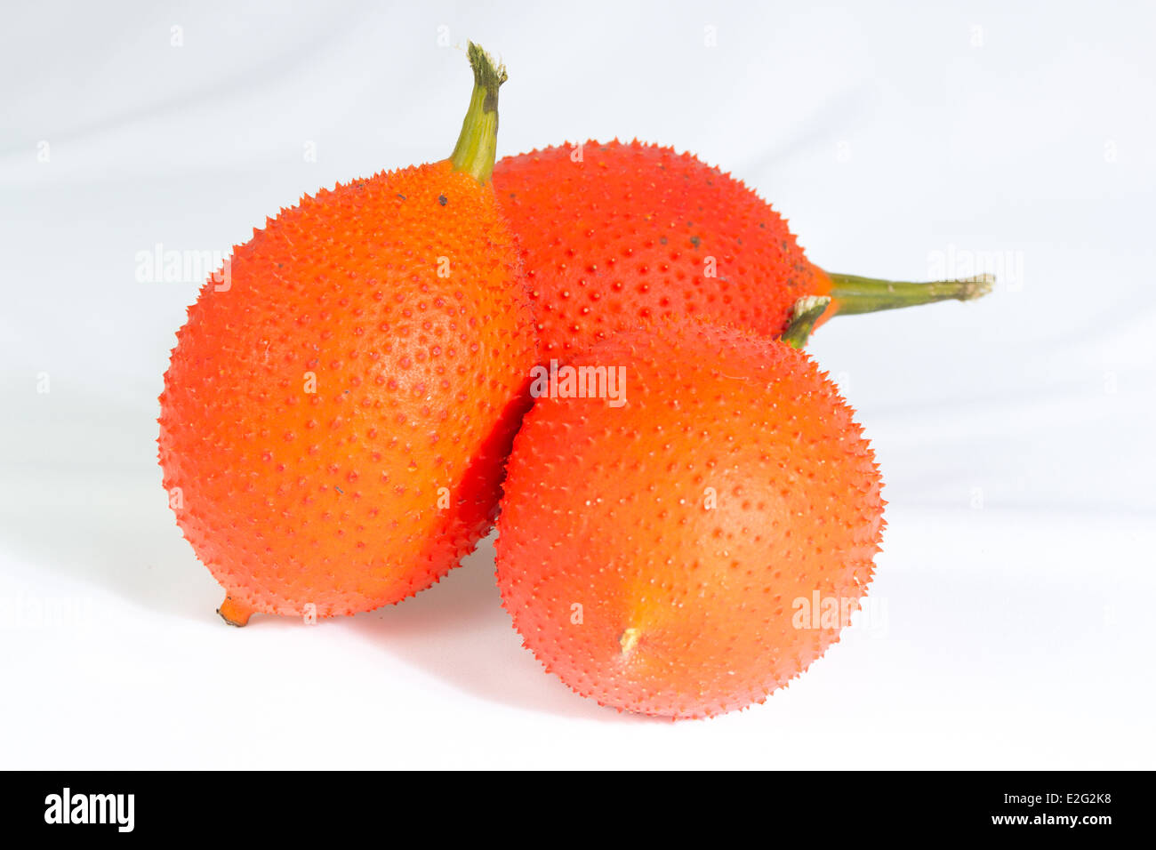 Fruits tropicaux Jackfruit Bébé Banque D'Images