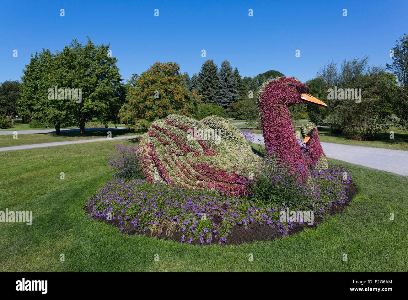 Canada Province du Québec le Jardin botanique de Montréal Les Mosaïcultures Swan Song Banque D'Images