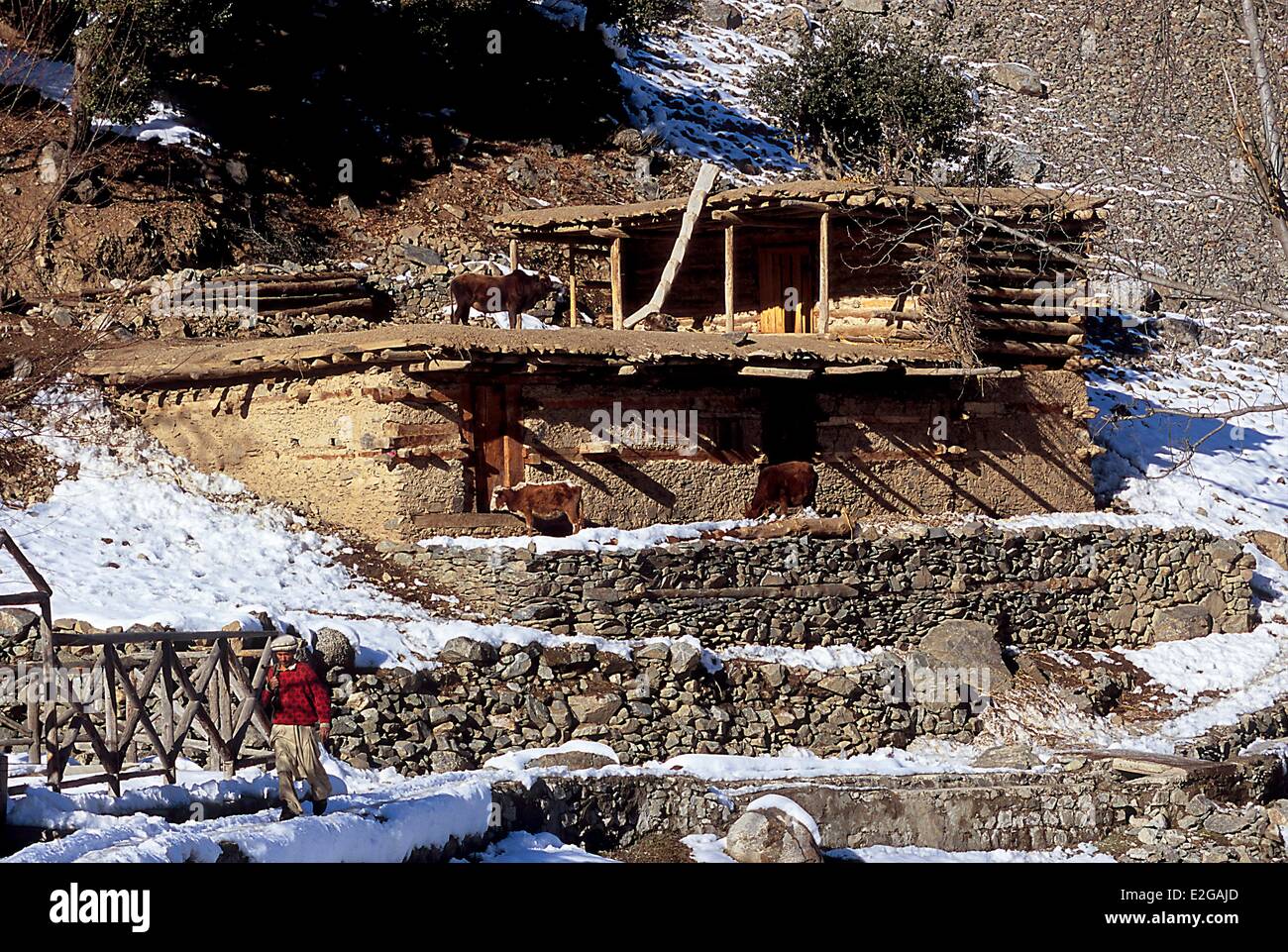 Vallées Kalash Khyber Pakhtunkhwa au Pakistan Bumburet en amont de la vallée de l'étable village Krakal Banque D'Images