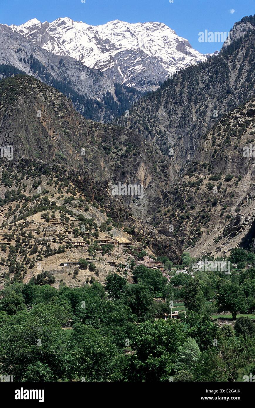 Le Pakistan Khyber Pakhtunkhwa district de Chitral Shishi Kuh valley village pachtoune du goudron Banque D'Images