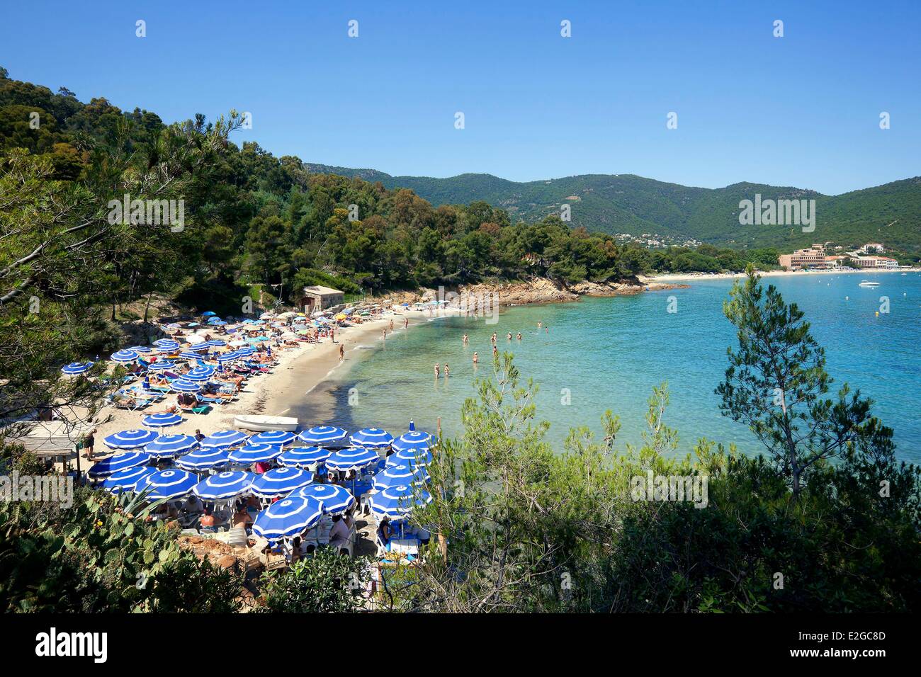 Plage Du Layet Au Lavandou Plage Du Layet Var Paca VHRO plage-du-layet-au-lavandou-plage-du-layet-var-paca-vhro
