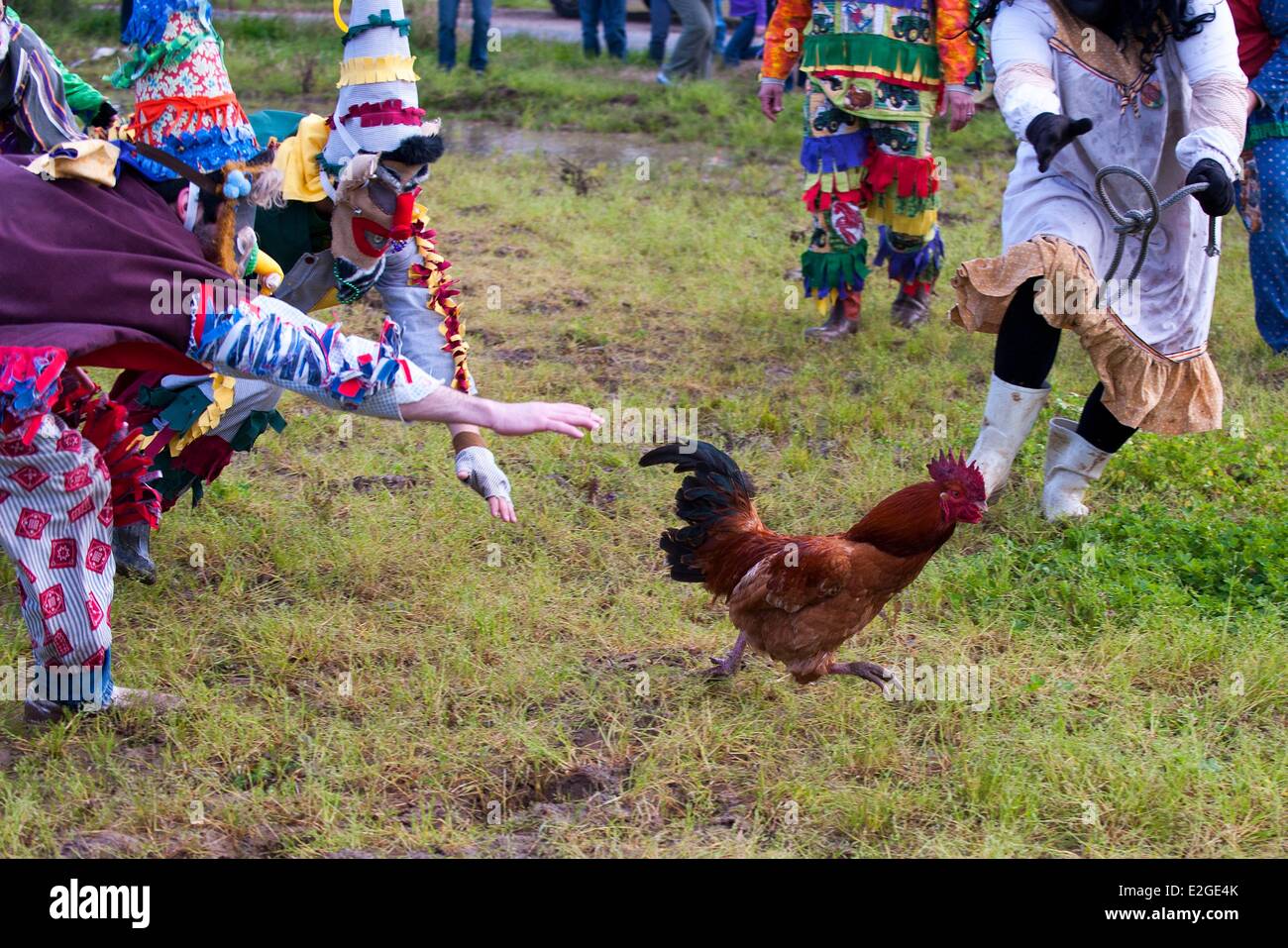 United States Louisiana Iota Courir de Mardi Gras est une tradition cajun qui a lieu chaque année au cours de Mardi-Gras dans cette région de langue française et en costumes colorés hommes cagoulés vont de maison en maison à pied ou à cheval à la mendicité pour l'argent ou des volailles vivantes e Banque D'Images
