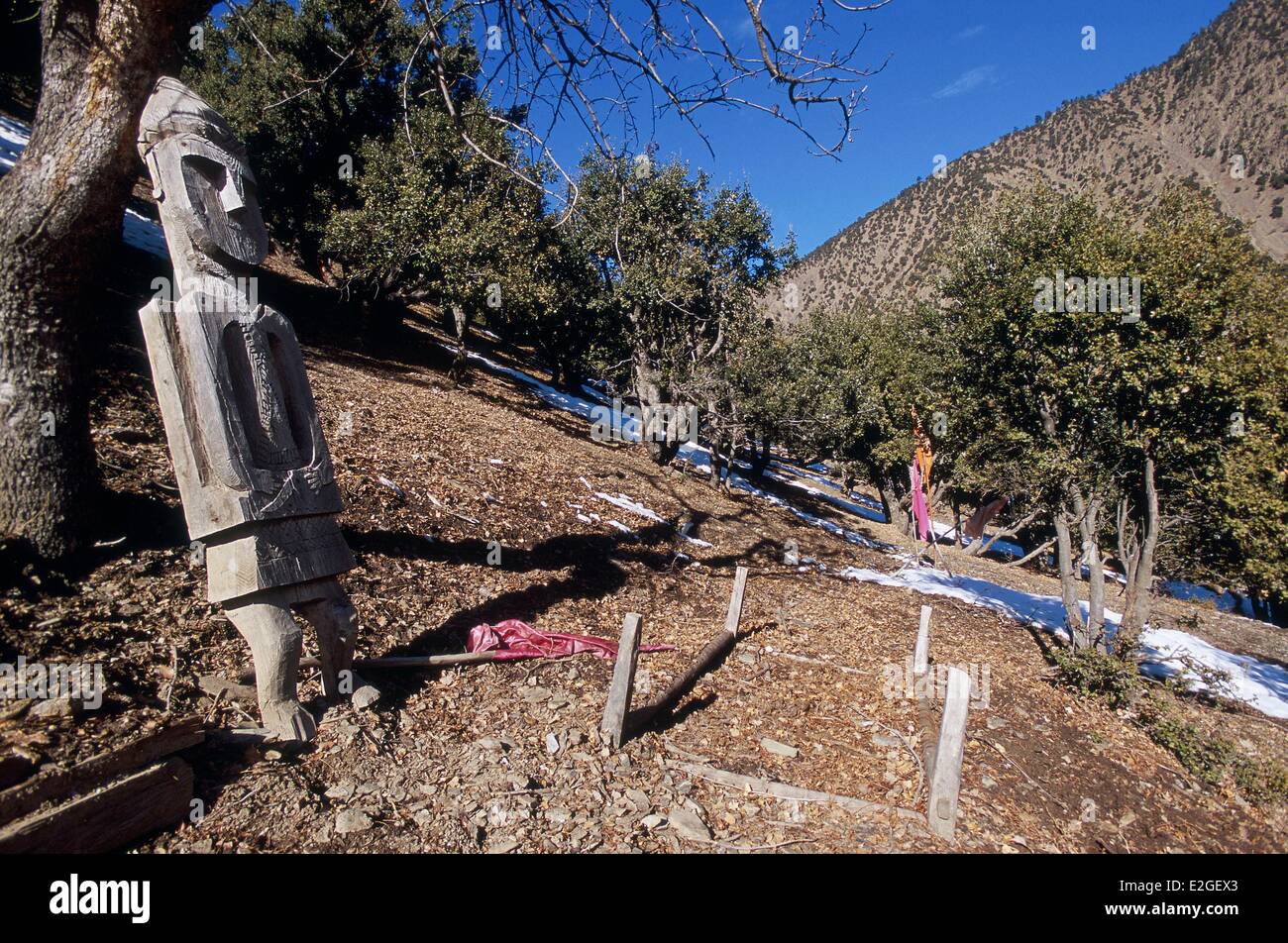 Vallées Kalash Khyber Pakhtunkhwa au Pakistan la vallée de Rumbur Grum village (2000m) dernier Gandao statue funéraire encore être vu dans un cimetière Kalash aujourd'hui systématiquement volés ou vandalisés ces statues en bois coûteux ne sont plus sculptés Banque D'Images