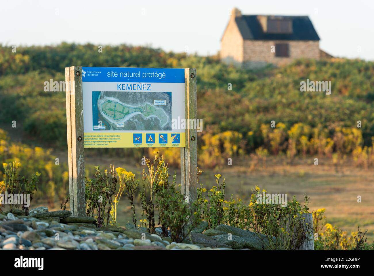 France Finistère Le Conquet zone protégée sur l'île de Quemenes en archipel de Molene Banque D'Images