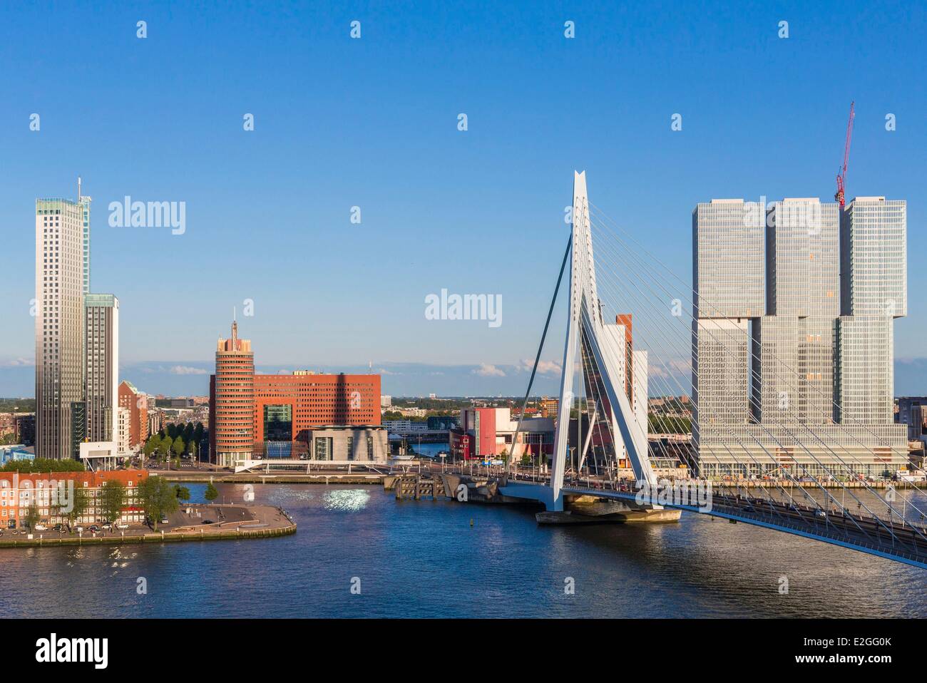 Rotterdam Pays-Bas Hollande du Sud green building Maastoren (165 mètres) conçu par Dam & Partners et Odile Decq Benoît Cornette et pont Erasmus (Erasmusbrug) conçu par Ben van Berkel et Caroline Bos sur Nieuwe Maas et le bâtiment conçu par l'archit Banque D'Images