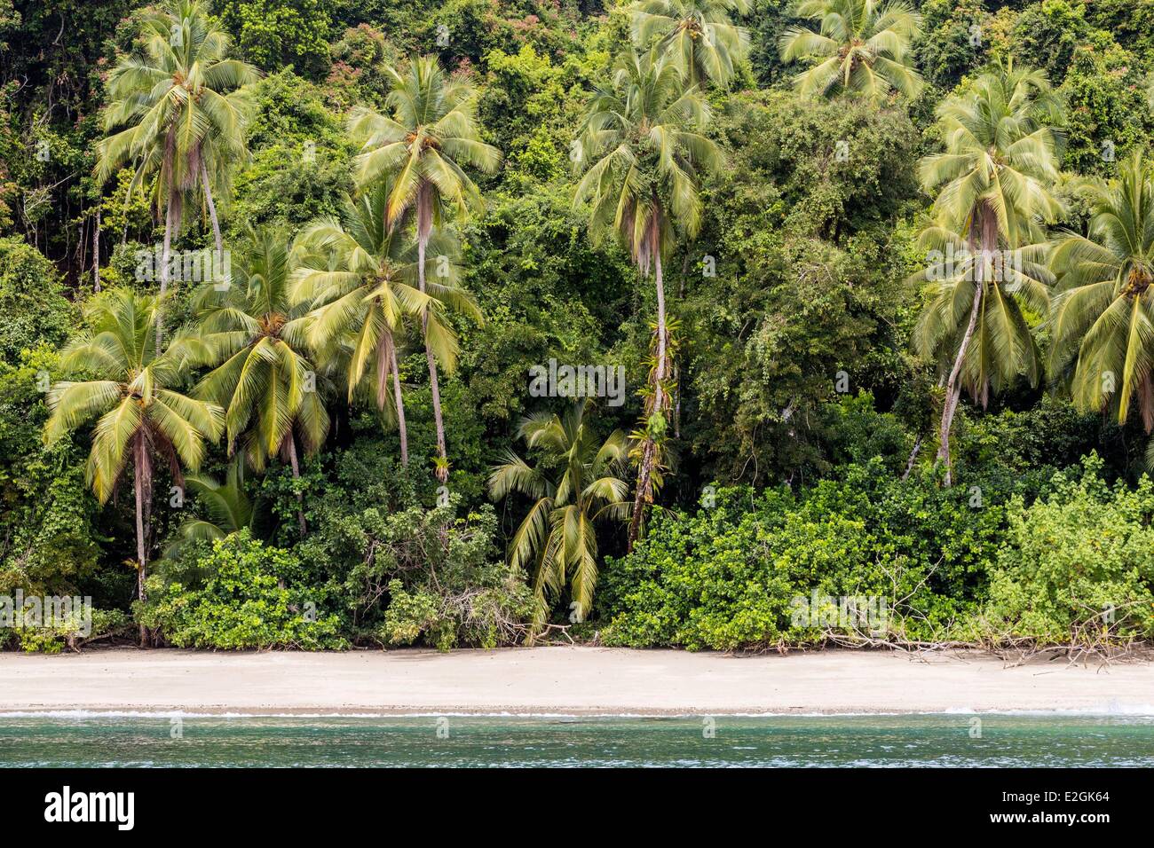 Veraguas Panama province golfe de Chiriqui Parc national de Coiba de classé au Patrimoine Mondial par l'UNESCO depuis 2005 l'île Rancheria plage bordée de palmiers Banque D'Images