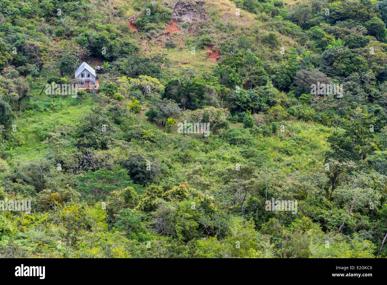 Cocle Panama province Anton Valley accueil niché dans la forêt Banque D'Images
