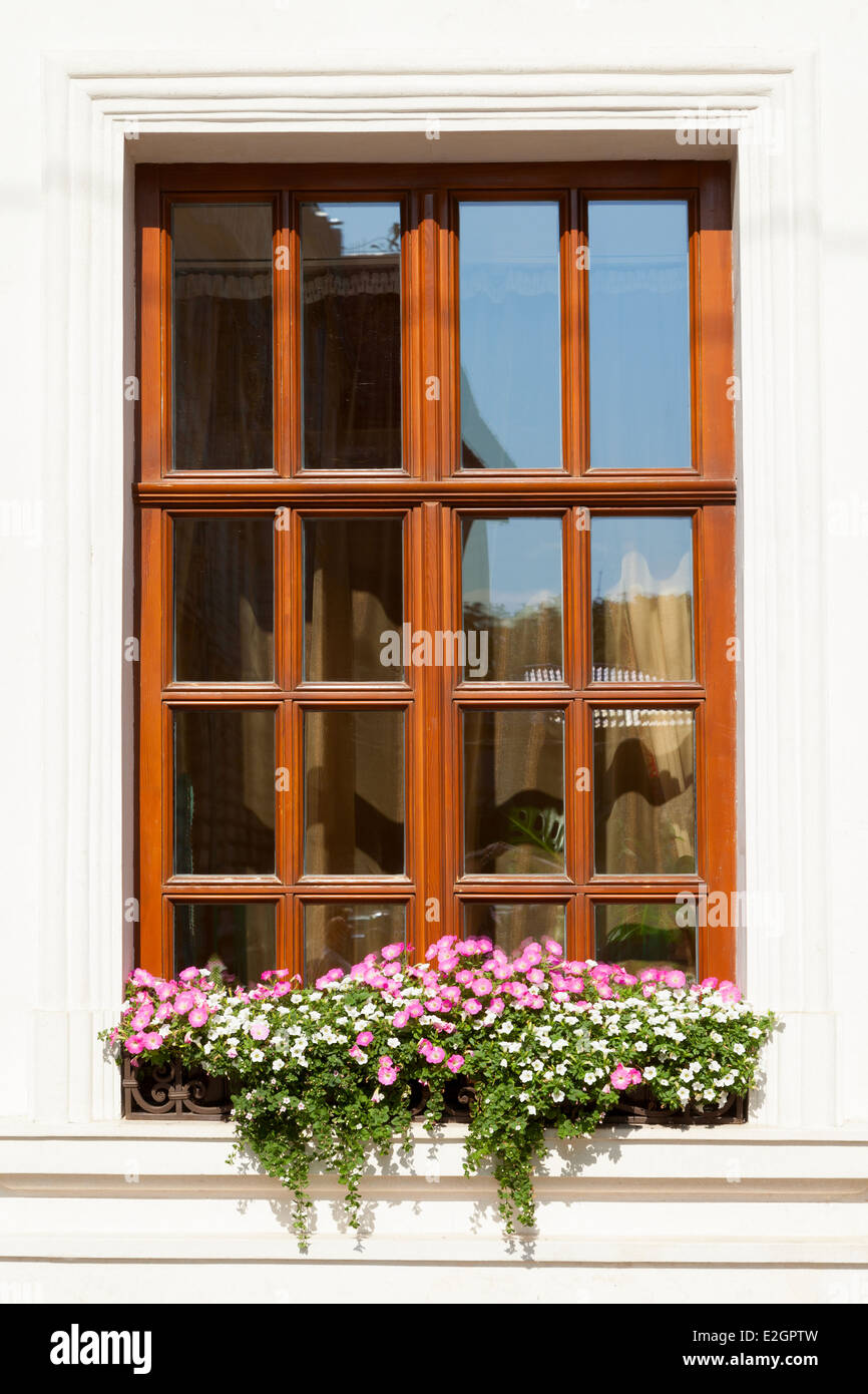 Boîte à fleurs en dessous d'une fenêtre sur un immeuble Banque D'Images