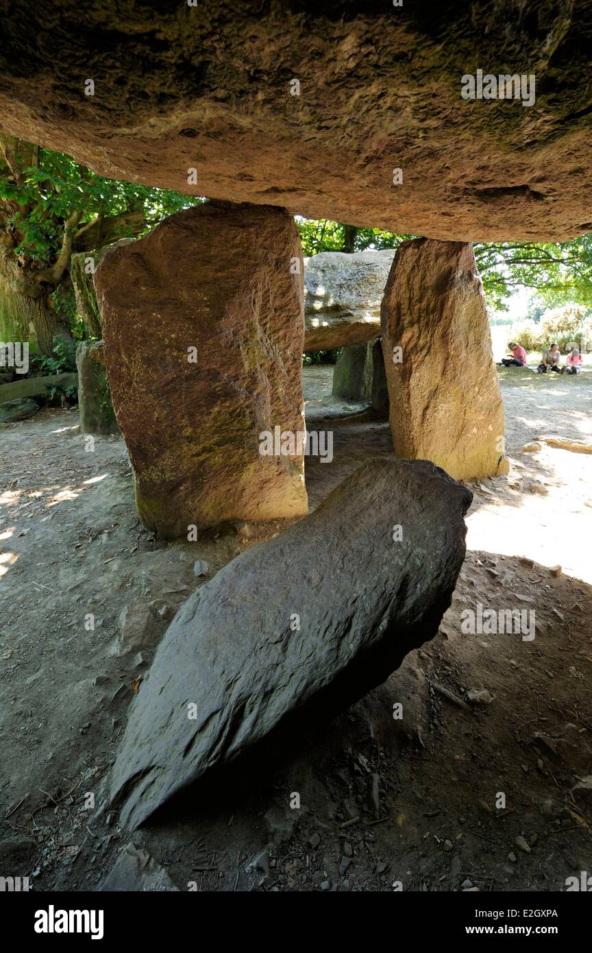 France Ille et Vilaine Esse La Roche aux Fées plus important monument mégalithique de Bretagne un dolmen Banque D'Images