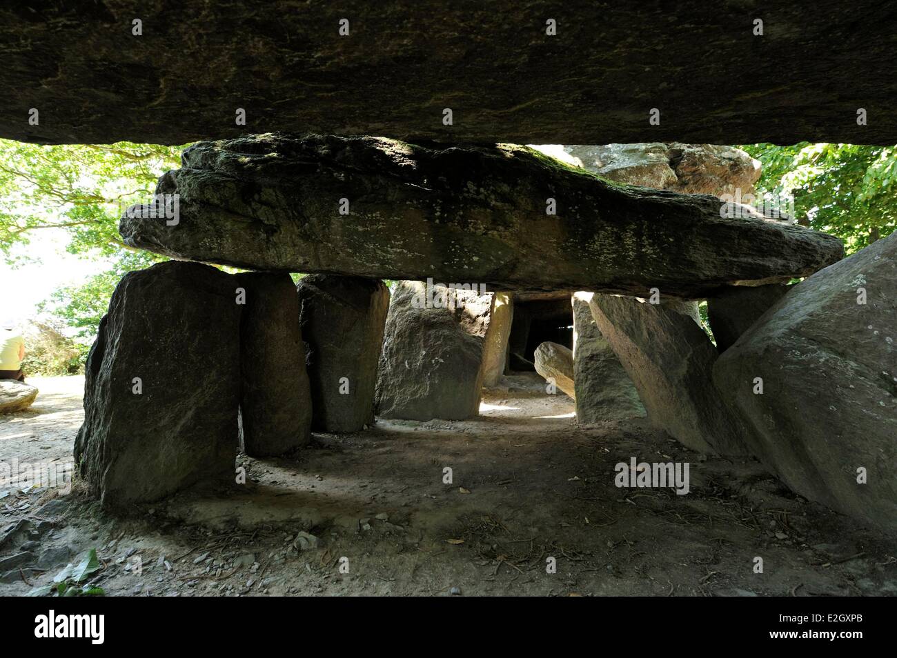 France Ille et Vilaine Esse La Roche aux Fées plus important monument mégalithique de Bretagne un dolmen Banque D'Images