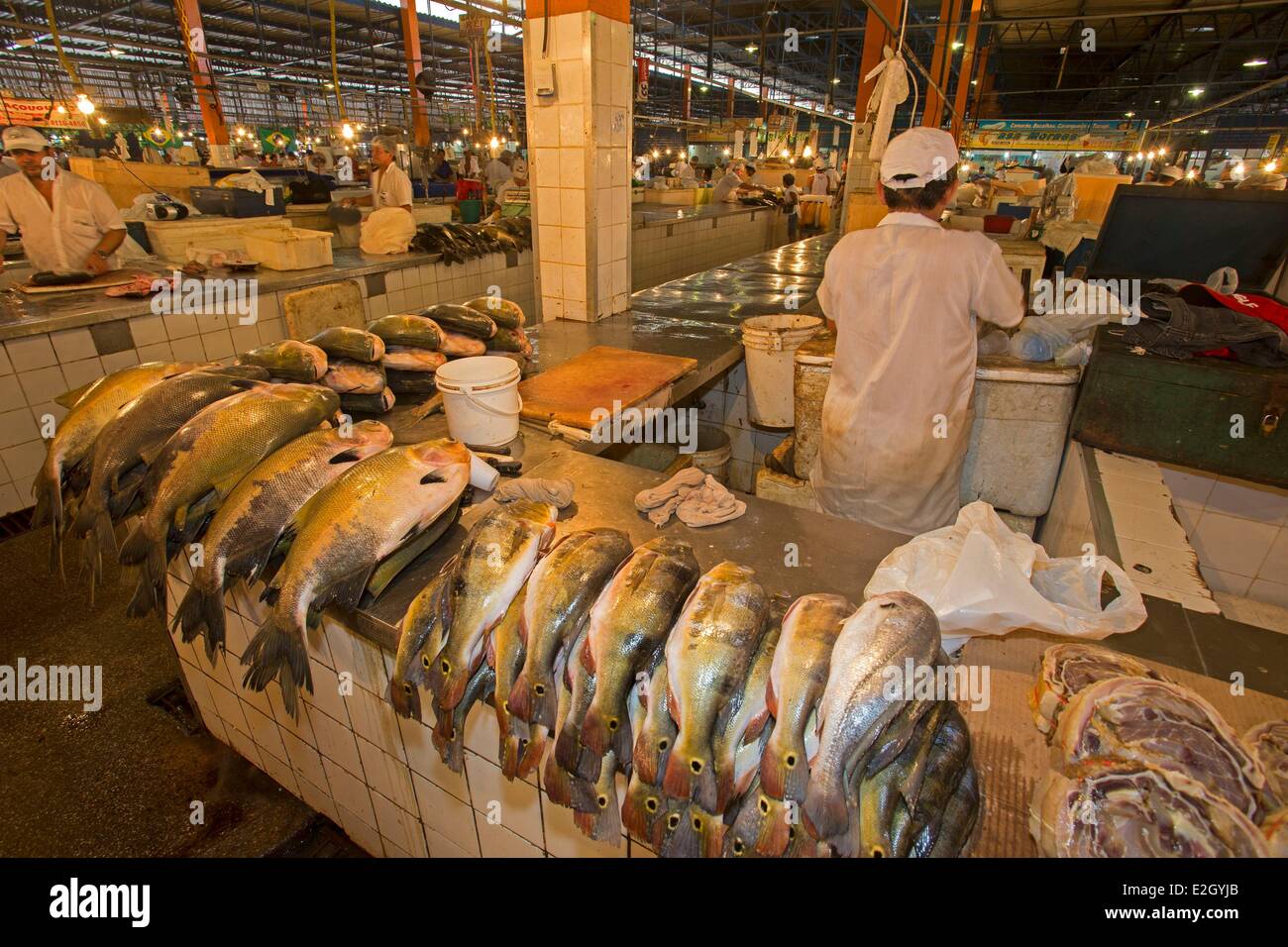 L'état d'Amazonas au Brésil Manaus Amazon River basin fish market Butterfly peacock bass Banque D'Images