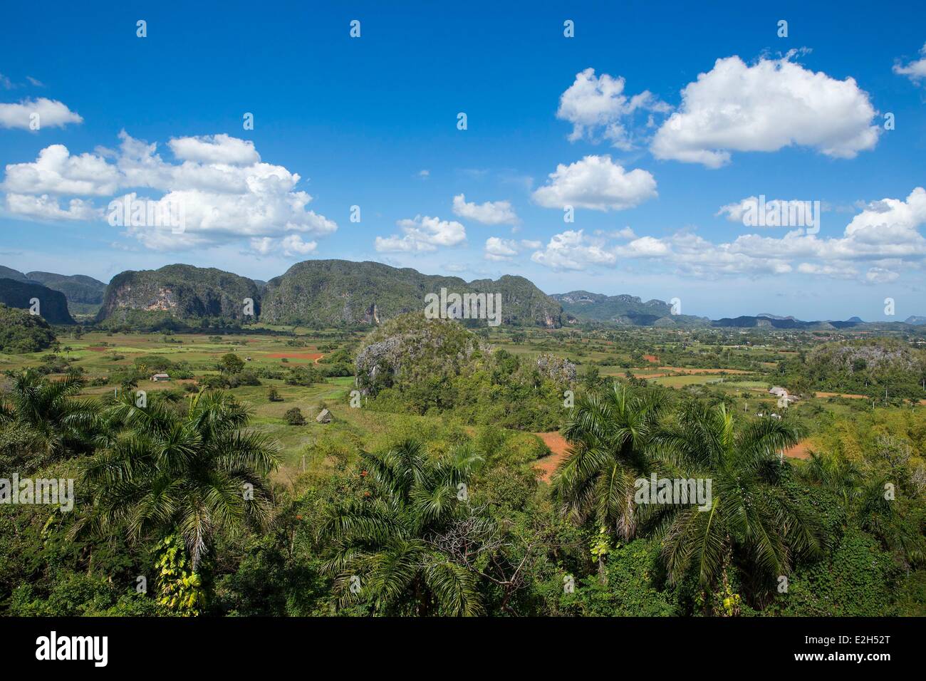 Cuba La province de Pinar del Rio la vallée de Viñales Vinales classée au Patrimoine Mondial de l'UNESCO et champs de tabac de Mogotes de montagnes Guaniguanico Banque D'Images