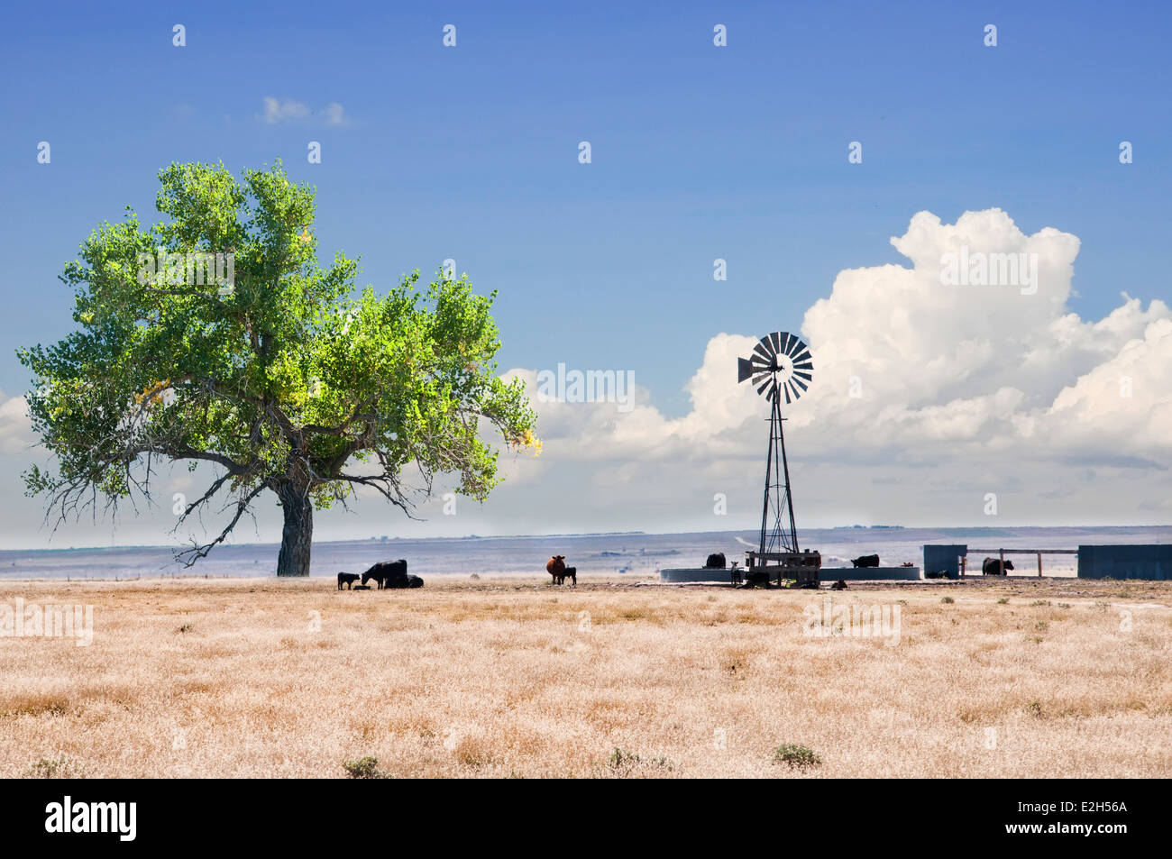 Moulin de l'eau utilisée pour l'élevage sur les grandes plaines de l'ouest des États-Unis. Banque D'Images