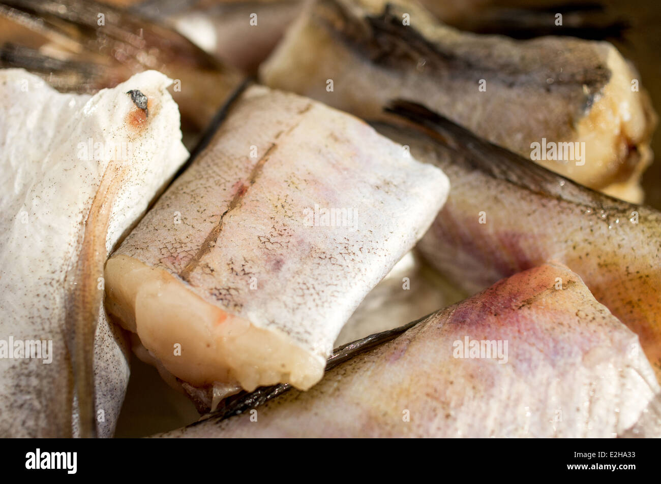 Poisson frais, crus - walleye pollock, le lieu de l'Alaska Banque D'Images