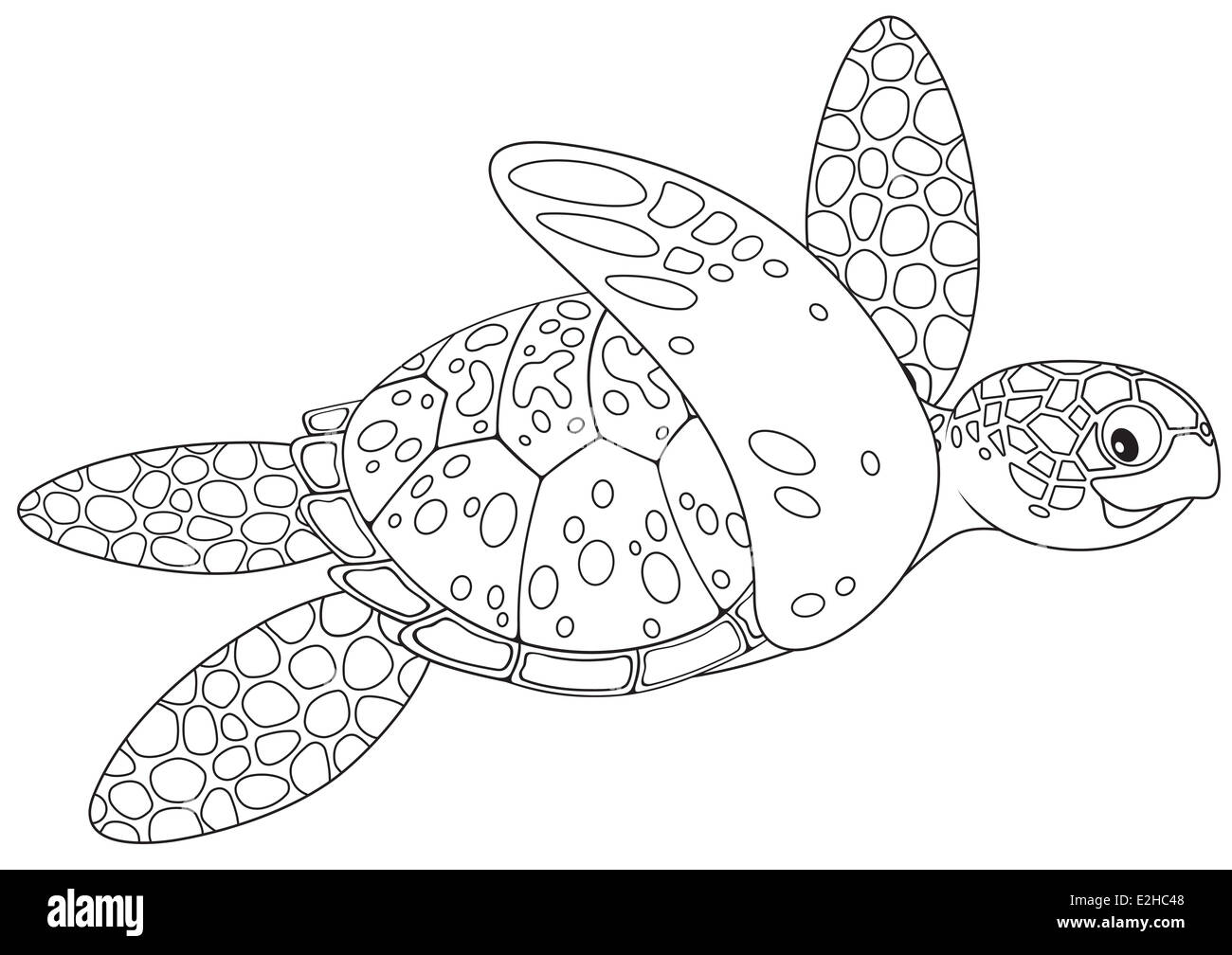 Tortue de mer tortue de mer Banque d'images noir et blanc - Alamy