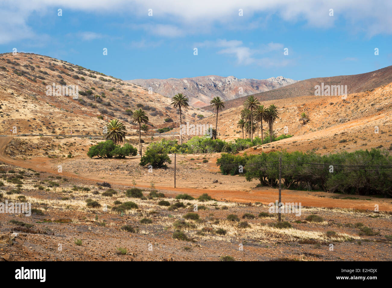 La vallée de la rivière à sec éphémère avec de tamaris et de palmiers près de la ville de Corralejo, Fuerteventura, Îles Canaries, Espagne Banque D'Images