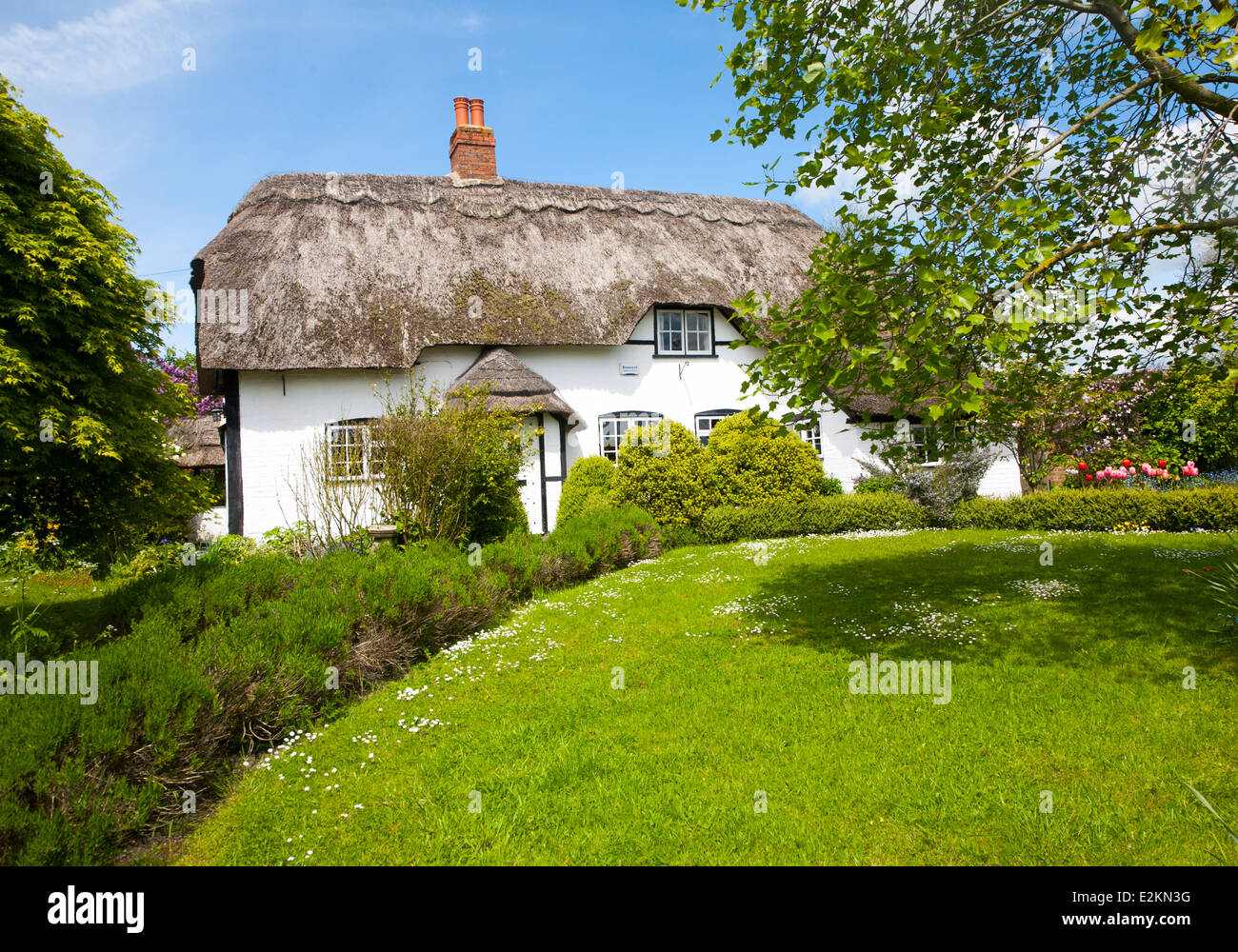 Joli chalet chaume dans le village d'Allington, Wiltshire, Angleterre Banque D'Images