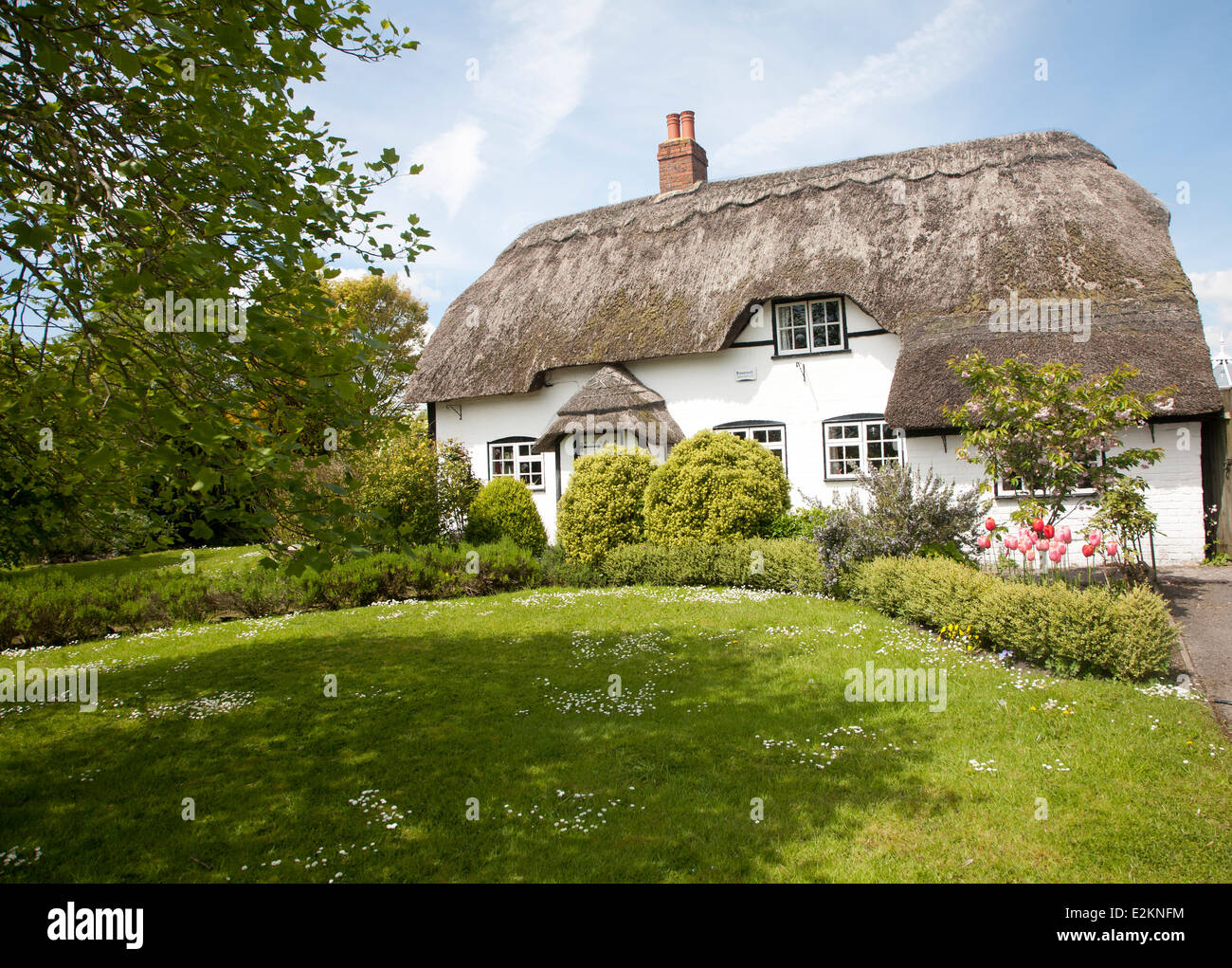 Joli chalet chaume dans le village d'Allington, Wiltshire, Angleterre Banque D'Images