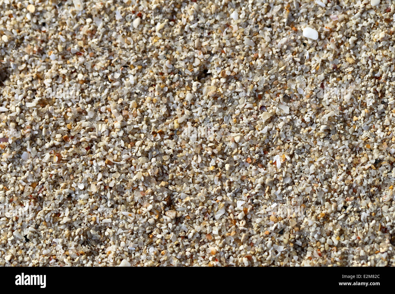 Différentes textures intéressantes sur la plage de sable fin Banque D'Images