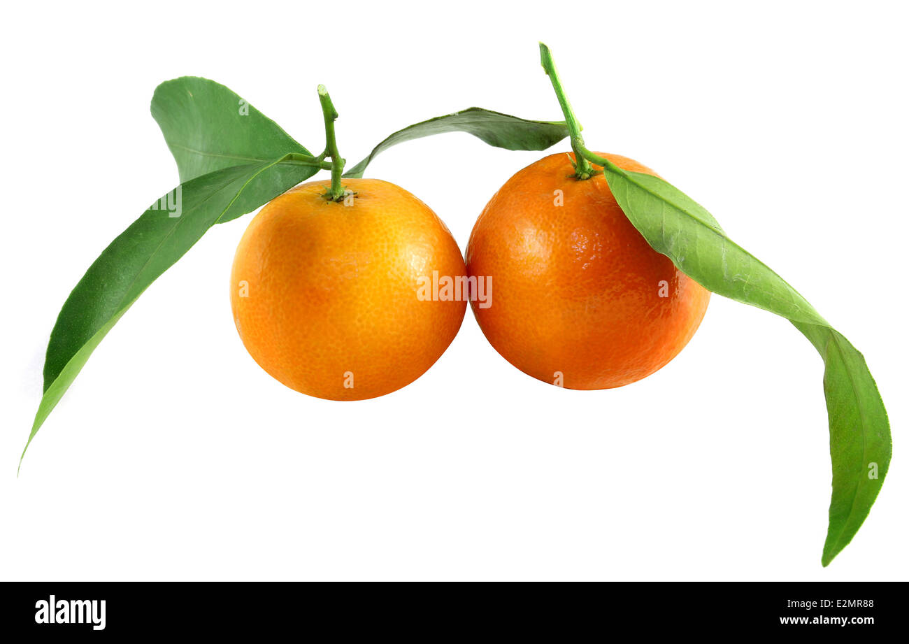 Belle mandarine avec des feuilles sur fond blanc Banque D'Images