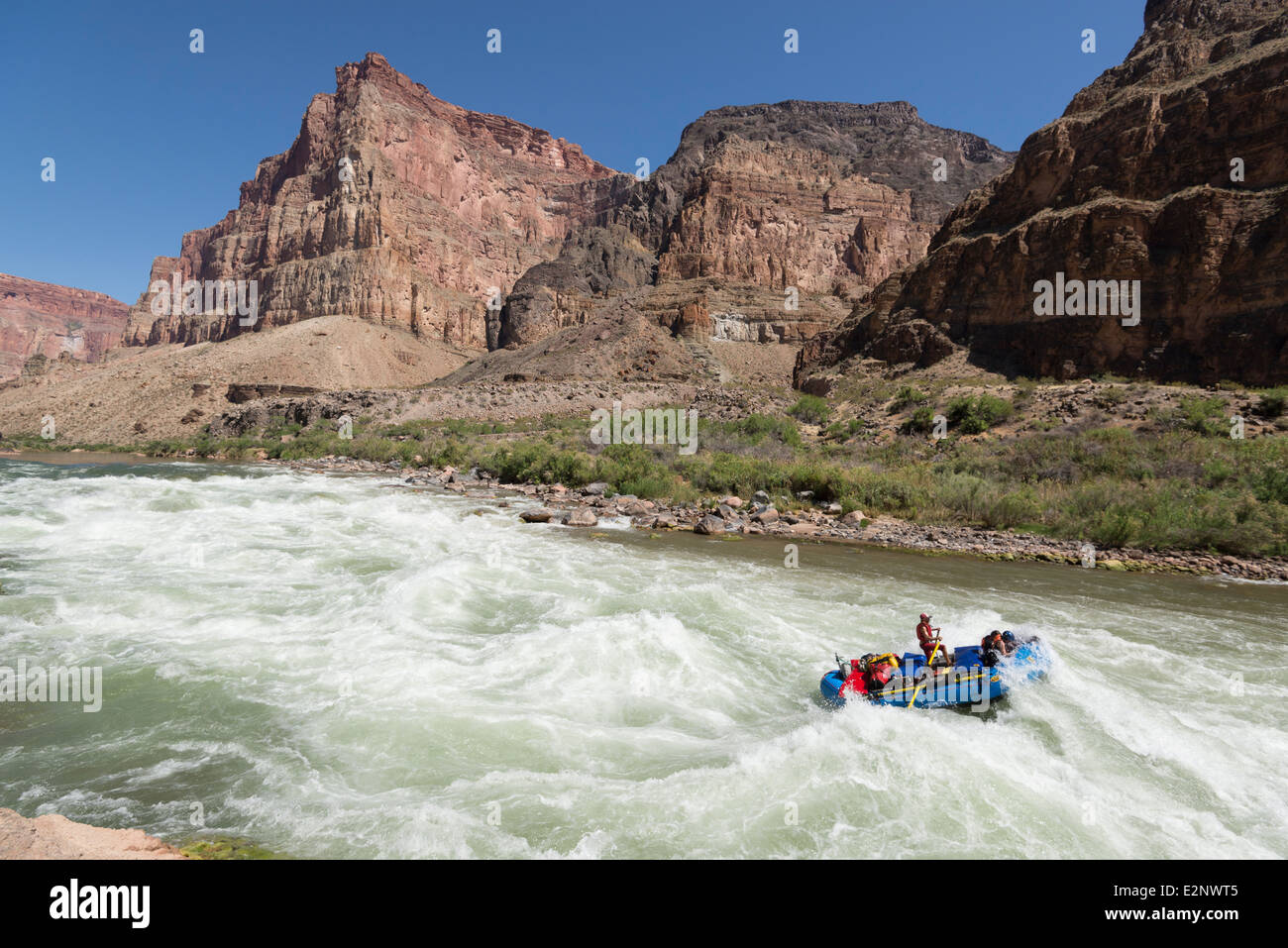 Chutes de lave de rafting sur le fleuve Colorado dans le Grand Canyon, Arizona. Banque D'Images