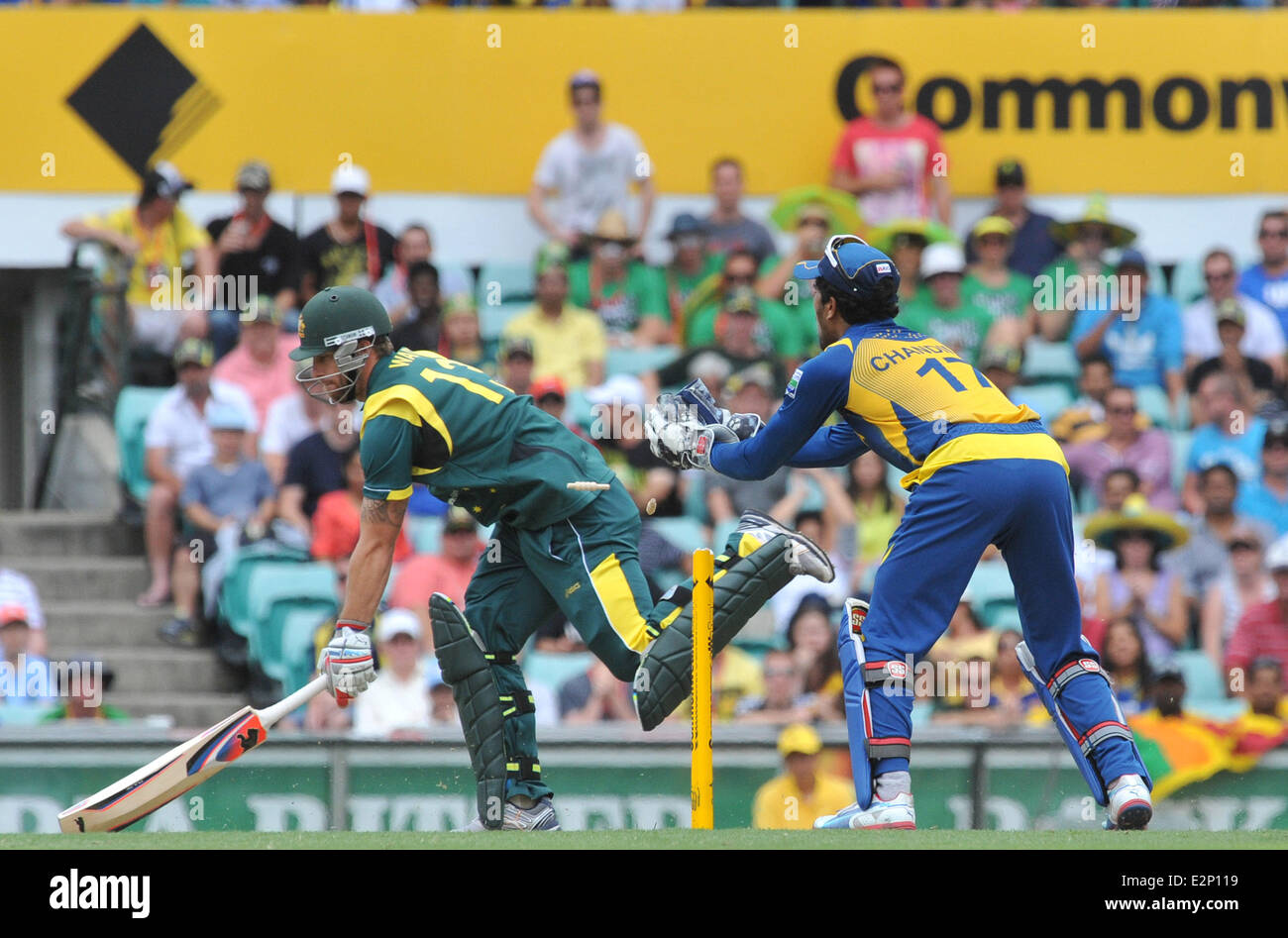 Matthew Wade près de fonctionner outGame quatre de la Commonwealth Bank, série internationale d'un jour entre l'Australie et le Sri Lanka à Sydn Banque D'Images