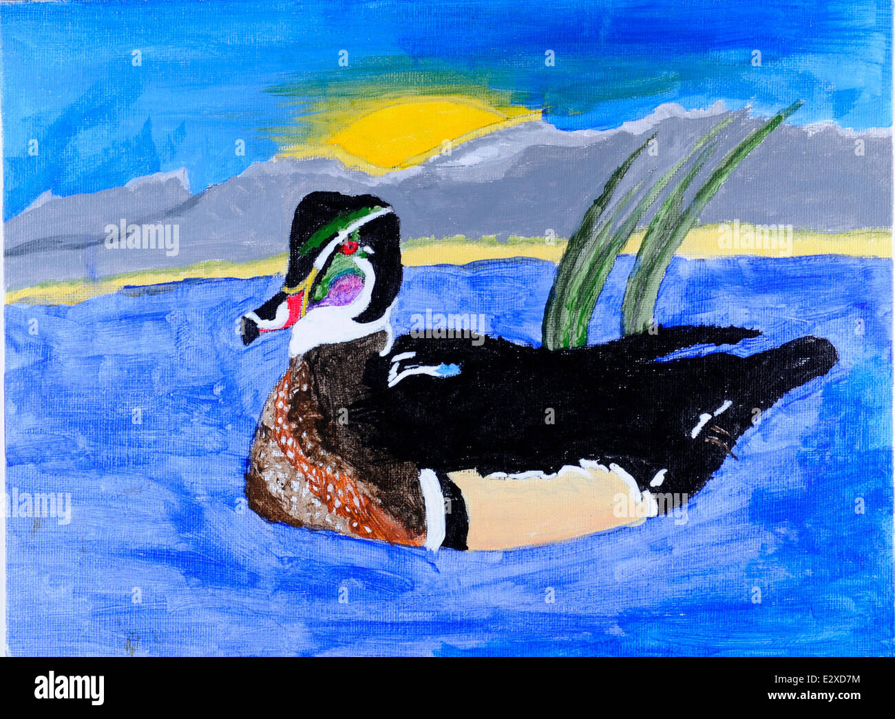 Le 'Woodduck' de Liz Ramminger a obtenu la troisième place au Junior Duck Stamp Contest 2013, reflétant son interprétation artistique de l'espèce. Le Midwest Minnesota Valley National Wildlife refuge joue un rôle essentiel dans la tradition du concours, promouvant la conservation de la faune grâce à des aménagements Banque D'Images