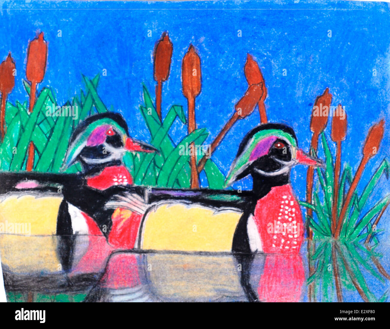 Coltin Studler, un élève de 4e à 6e année, a remporté la deuxième place en 2013 Jr. Concours de timbres de canard avec sa conception de canard en bois. Ce concours annuel sensibilise la population à la conservation de la sauvagine et encourage la participation des jeunes à la préservation de la faune. Banque D'Images