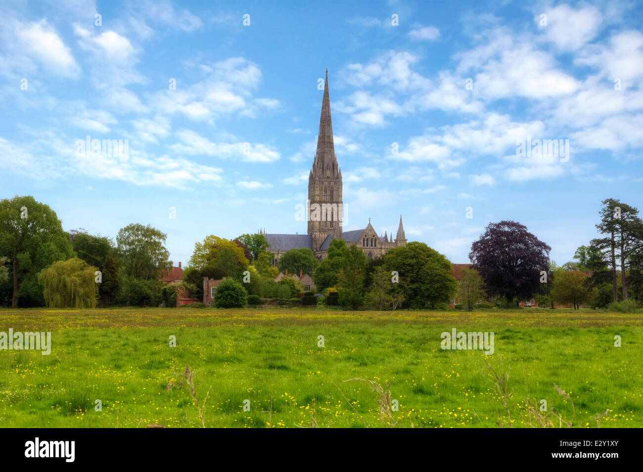 La cathédrale de Salisbury, Salisbury, Wiltshire, Angleterre, Royaume-Uni Banque D'Images