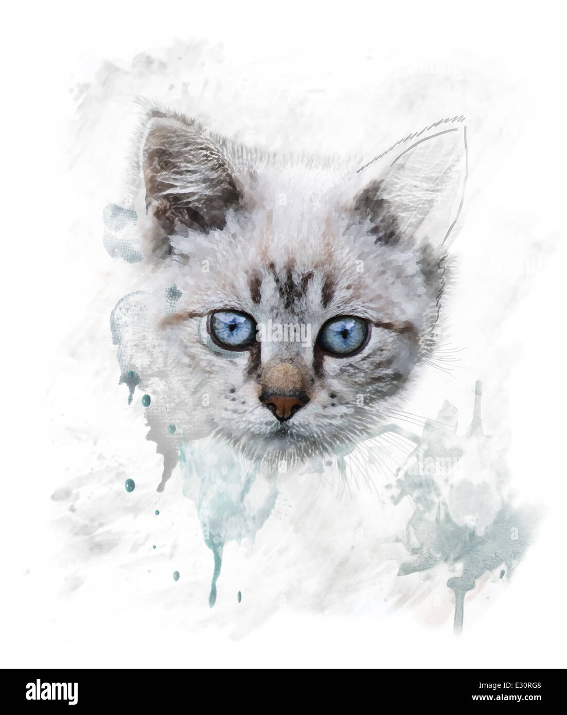 Aquarelle peinture digitale de jeune chat Banque D'Images