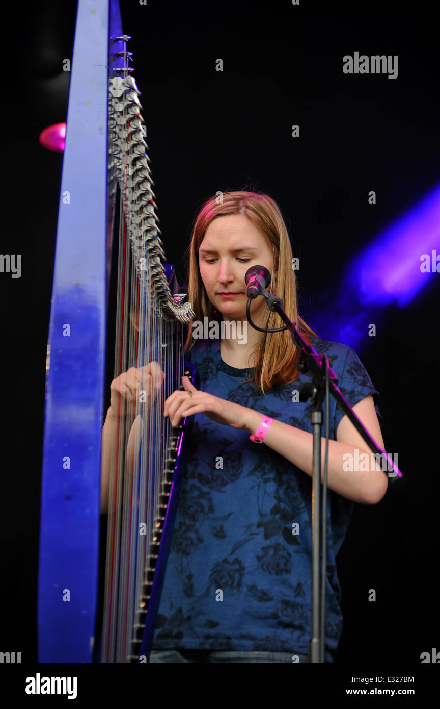 Le barbu 2013 Festival la théorie à Kedleston Hall - Jour 1 avec : Francis Cabrel Où : Derbyshire, Angleterre, United Kingd Banque D'Images