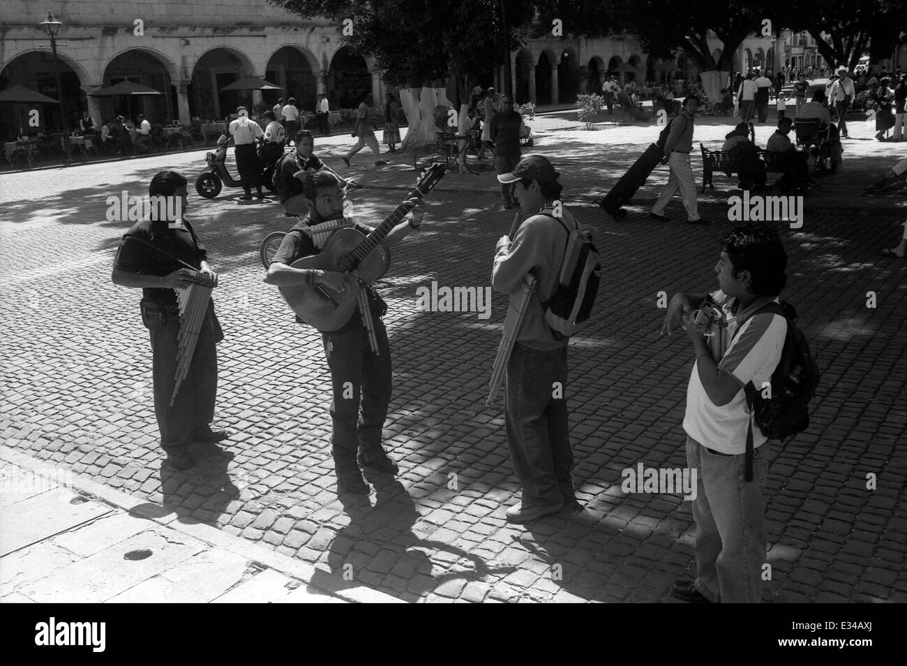 Oaxaca, Mexique, musiciens de rue Banque D'Images