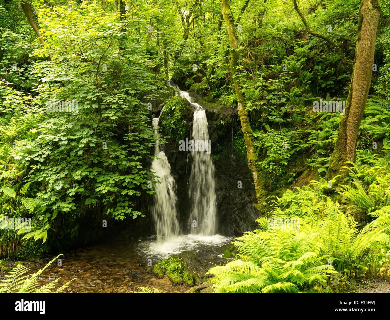 Cascade dans Aberfforest, Pembrokeshire, Pays de Galles Banque D'Images