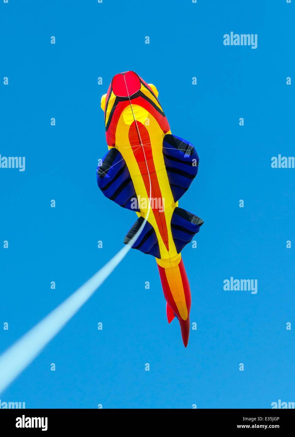 Le cerf-volant en forme de poisson contre ciel bleu cobalt Colorado Banque D'Images