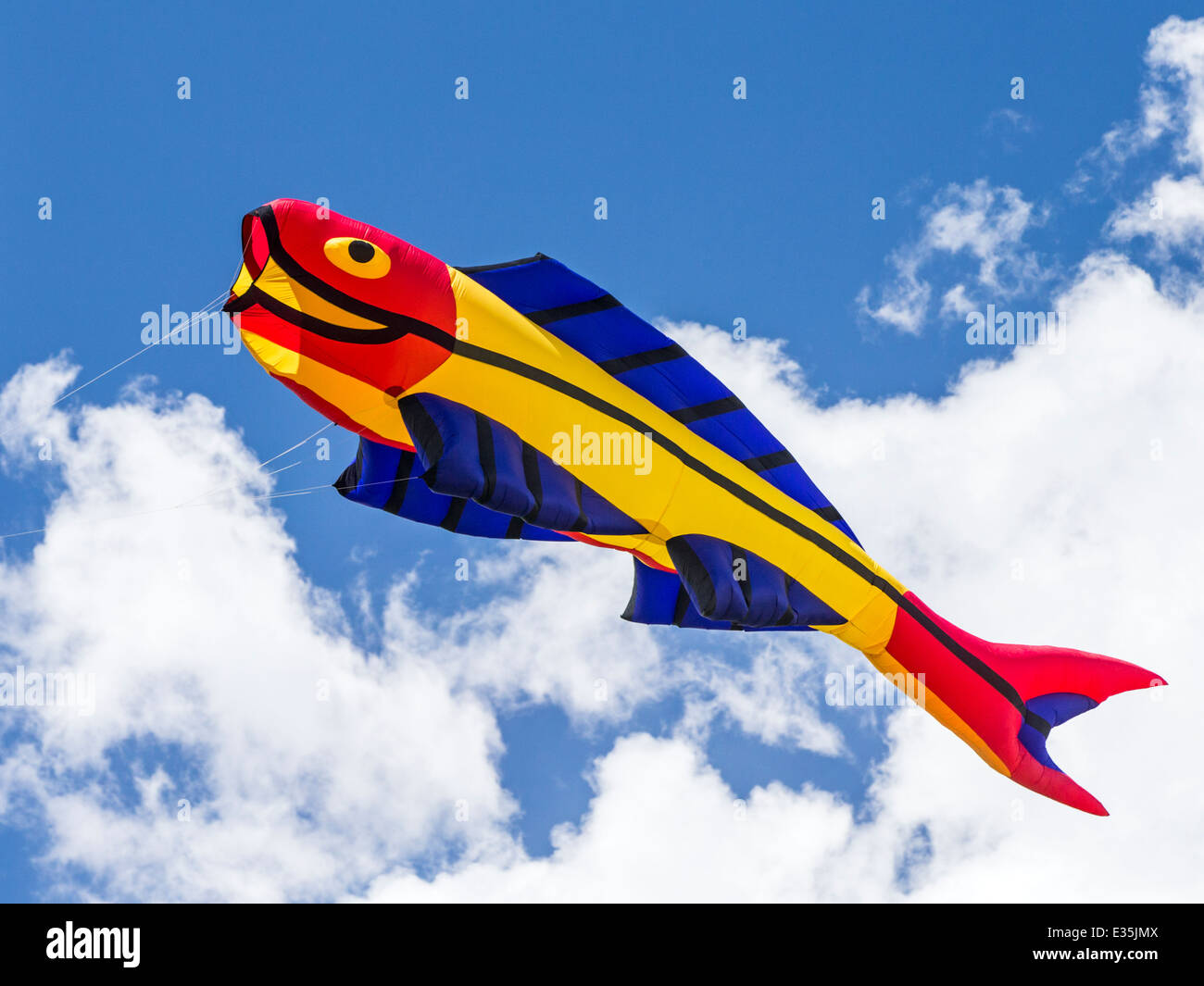 Le cerf-volant en forme de poisson contre ciel bleu cobalt Colorado Banque D'Images