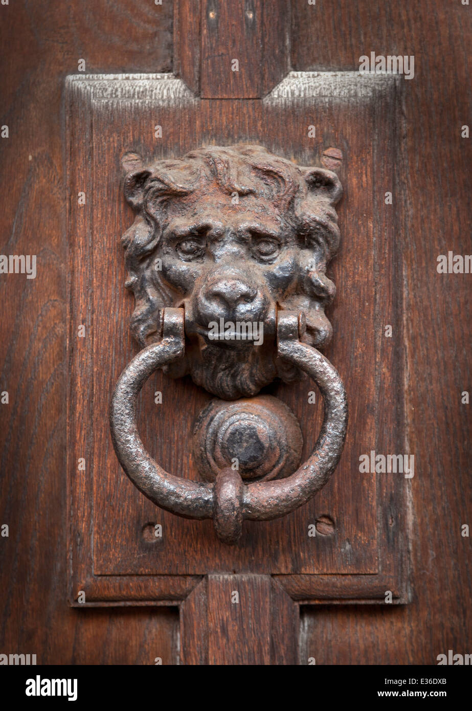 Vintage style lions head heurtoir de porte en fer Banque D'Images
