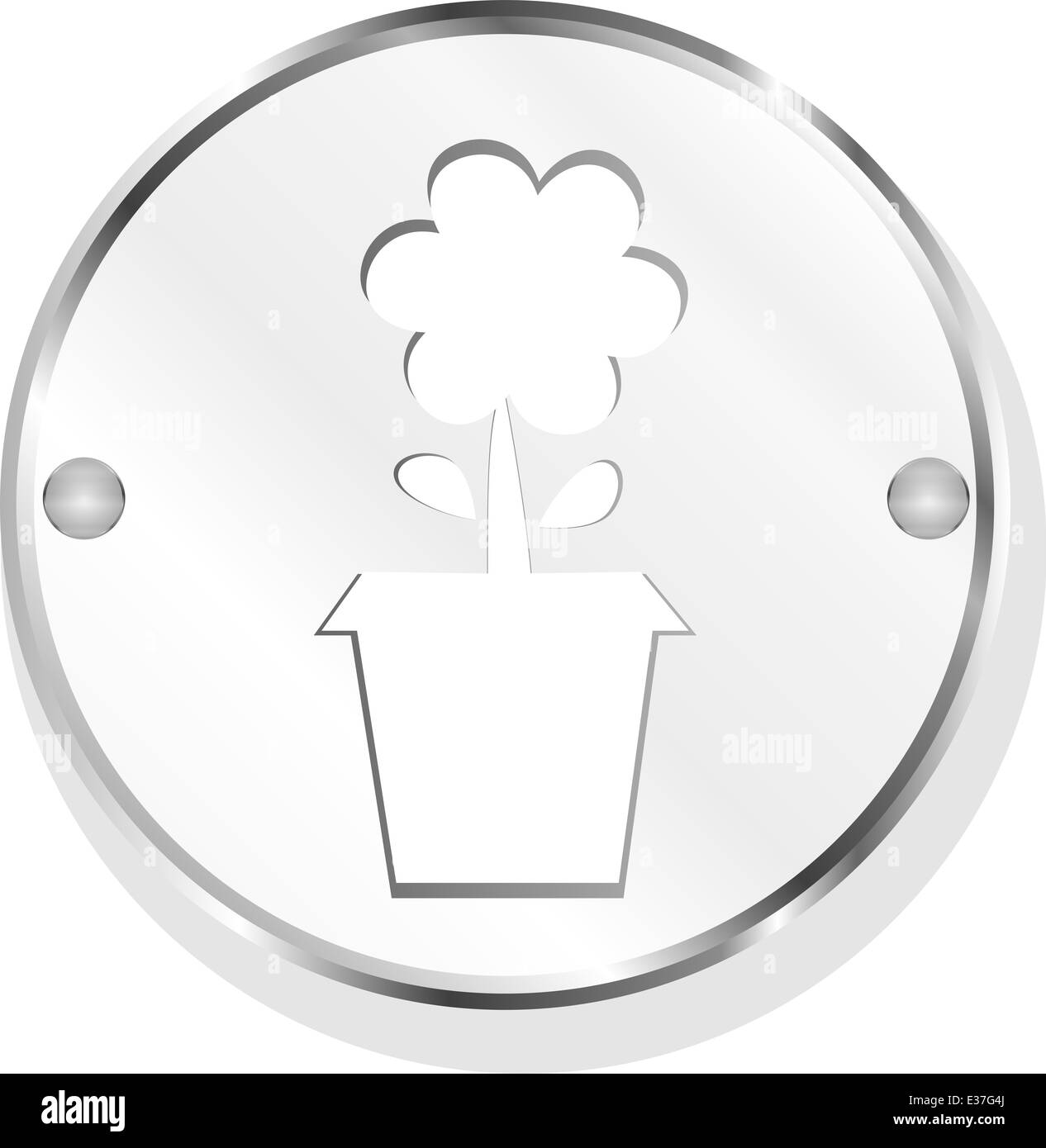 Plante en pot de fleur isolated on white Banque D'Images