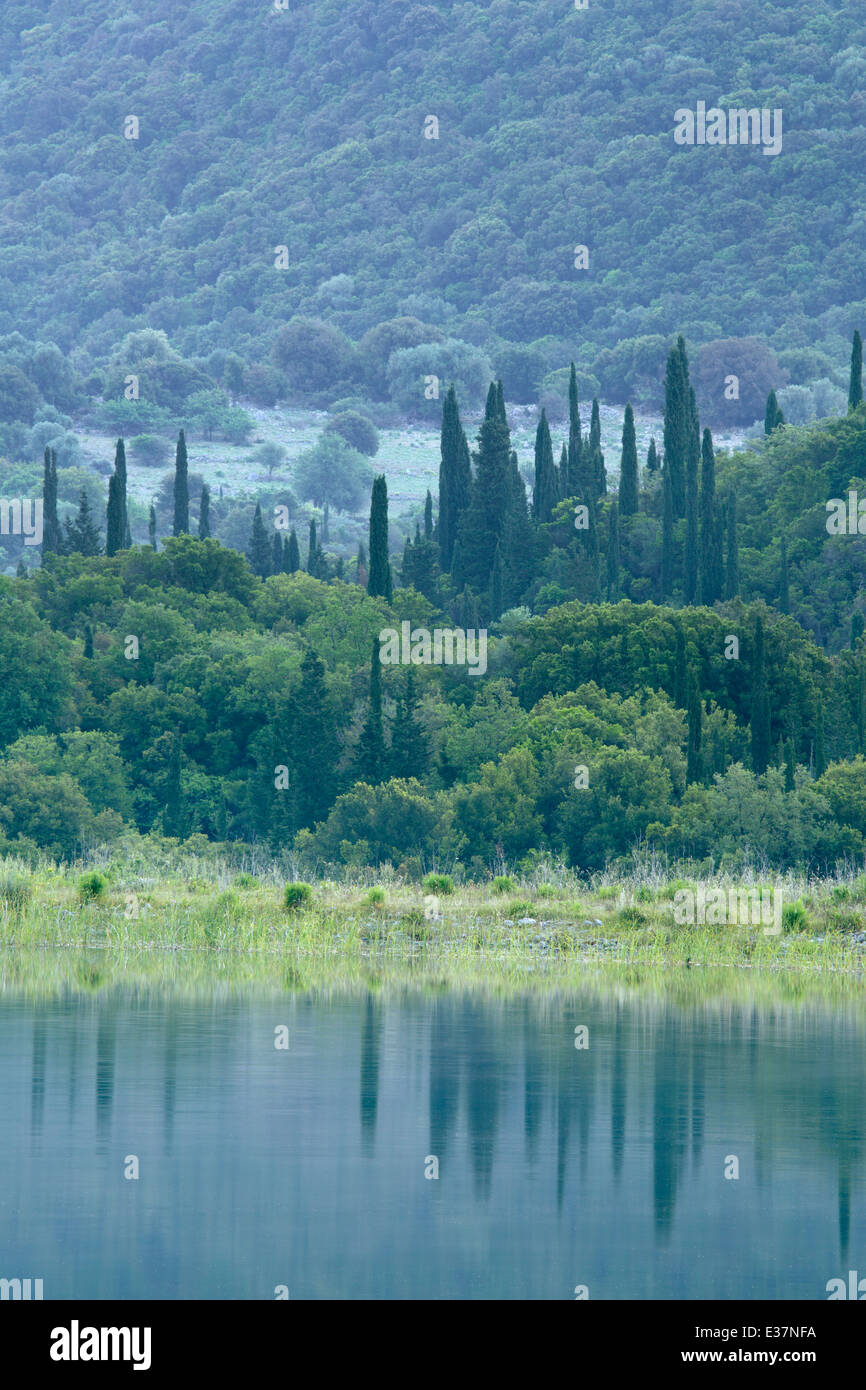 Cyprès de refléter dans l'une des deux lacs à Tzanata, Kefalonia Banque D'Images