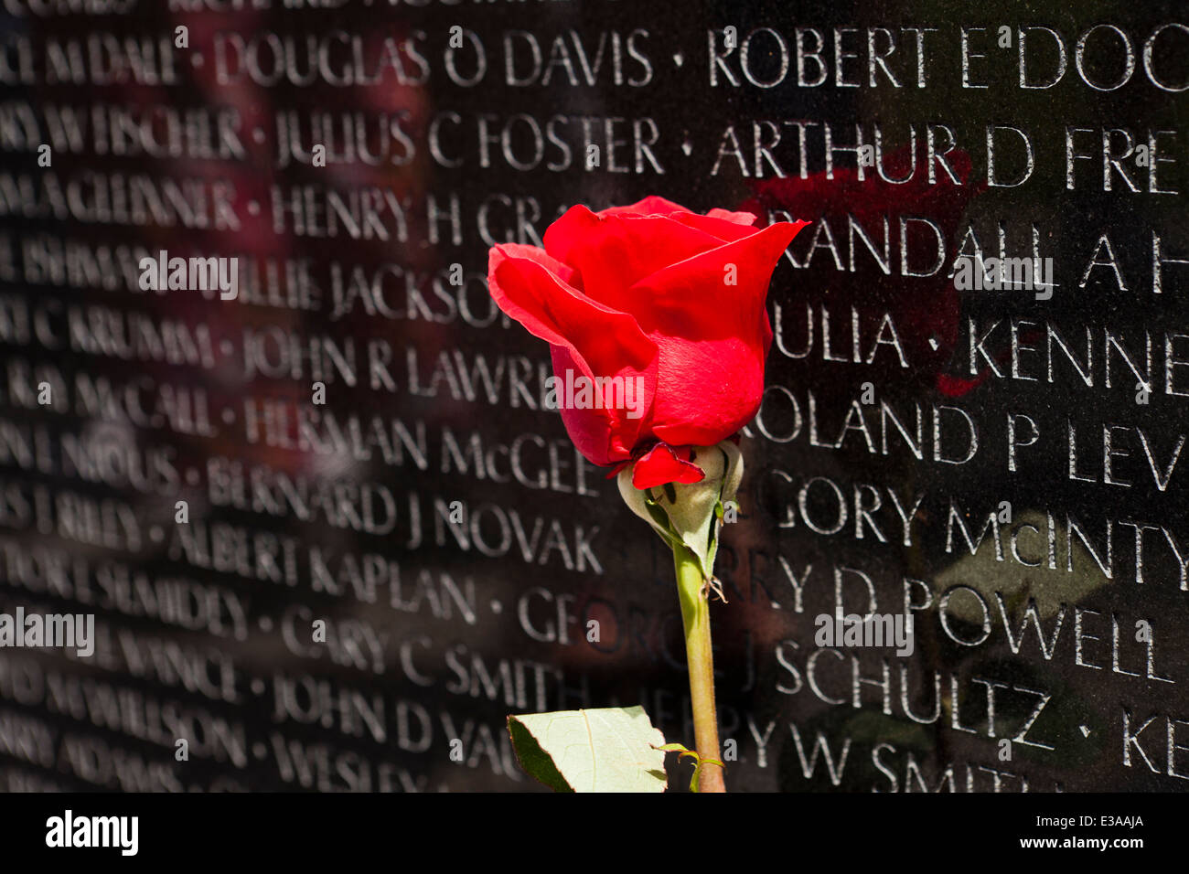 Libre de rose rouge à la Vietnam Veterans Memorial - Memorial Day 2014, Washington, DC, USA Banque D'Images