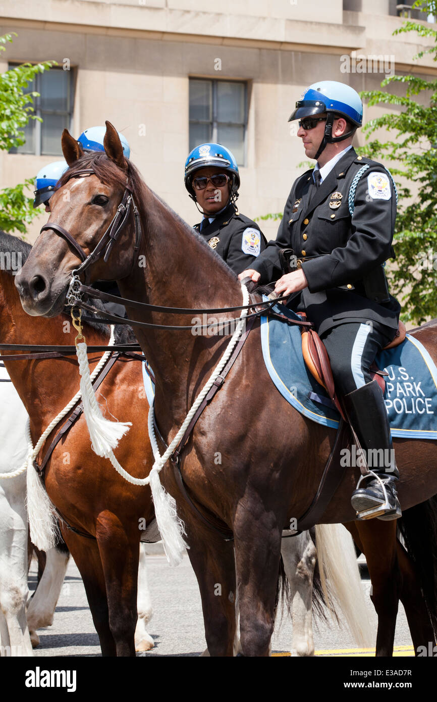 US Park Police Montée - Washington, DC USA Banque D'Images