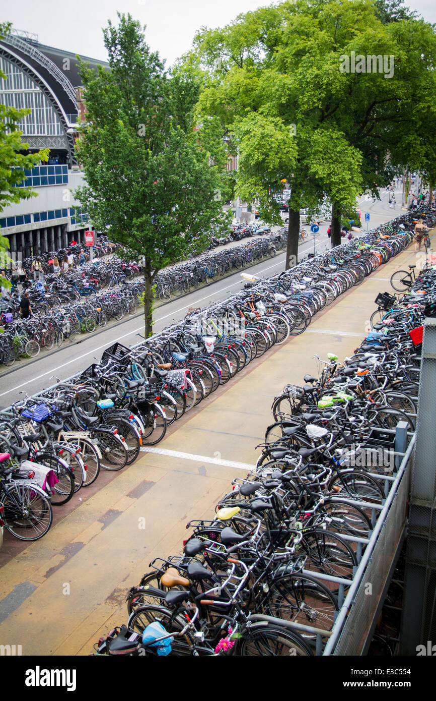 Des centaines de vélos à un parking à vélo à la gare centrale d'Amsterdam aux Pays-Bas vélos vélo gratuit Banque D'Images