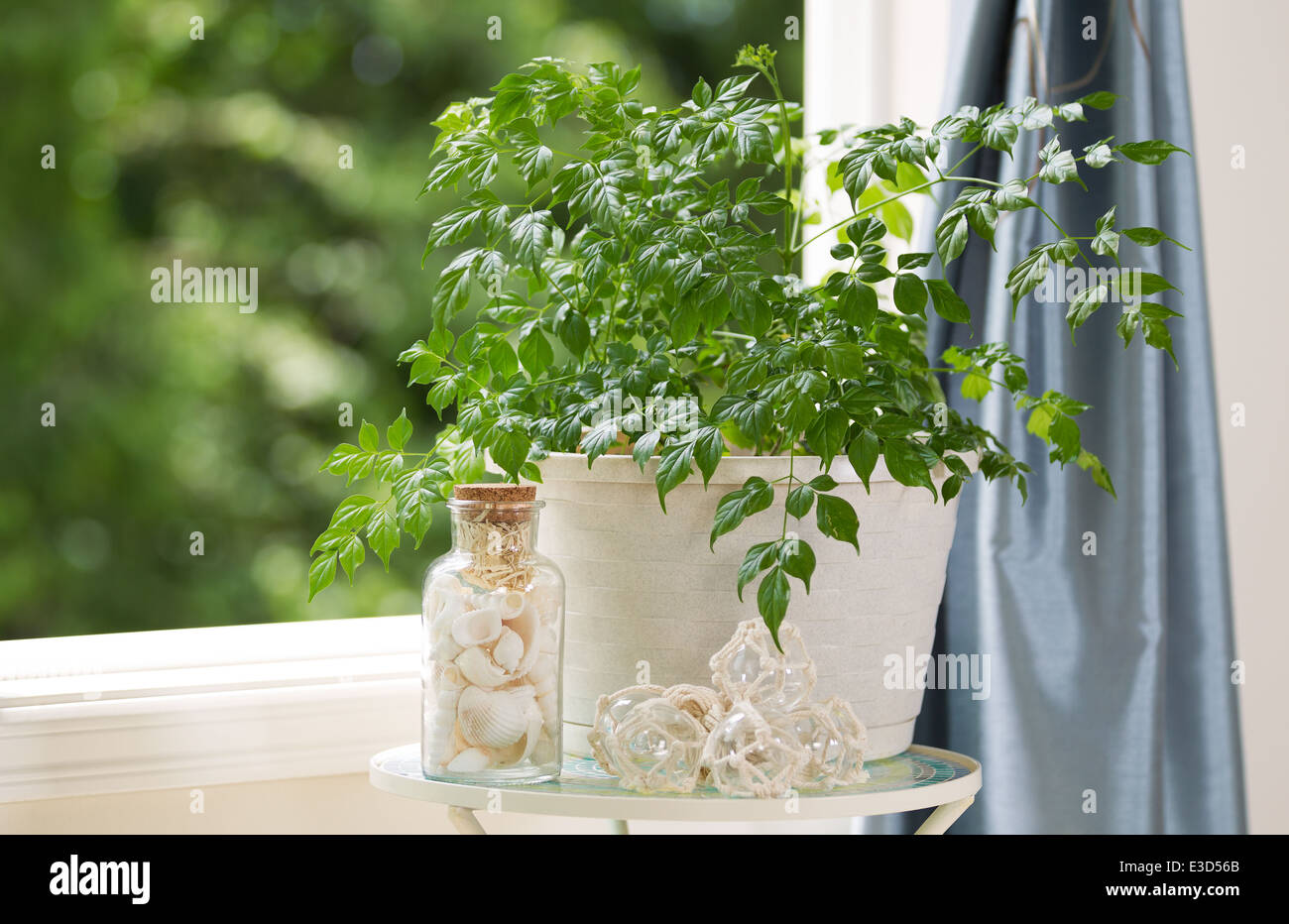 Accueil plante avec des décorations sur une petite table à côté de la fenêtre ouverte à la lumière du jour et des arbres en arrière-plan flou Banque D'Images