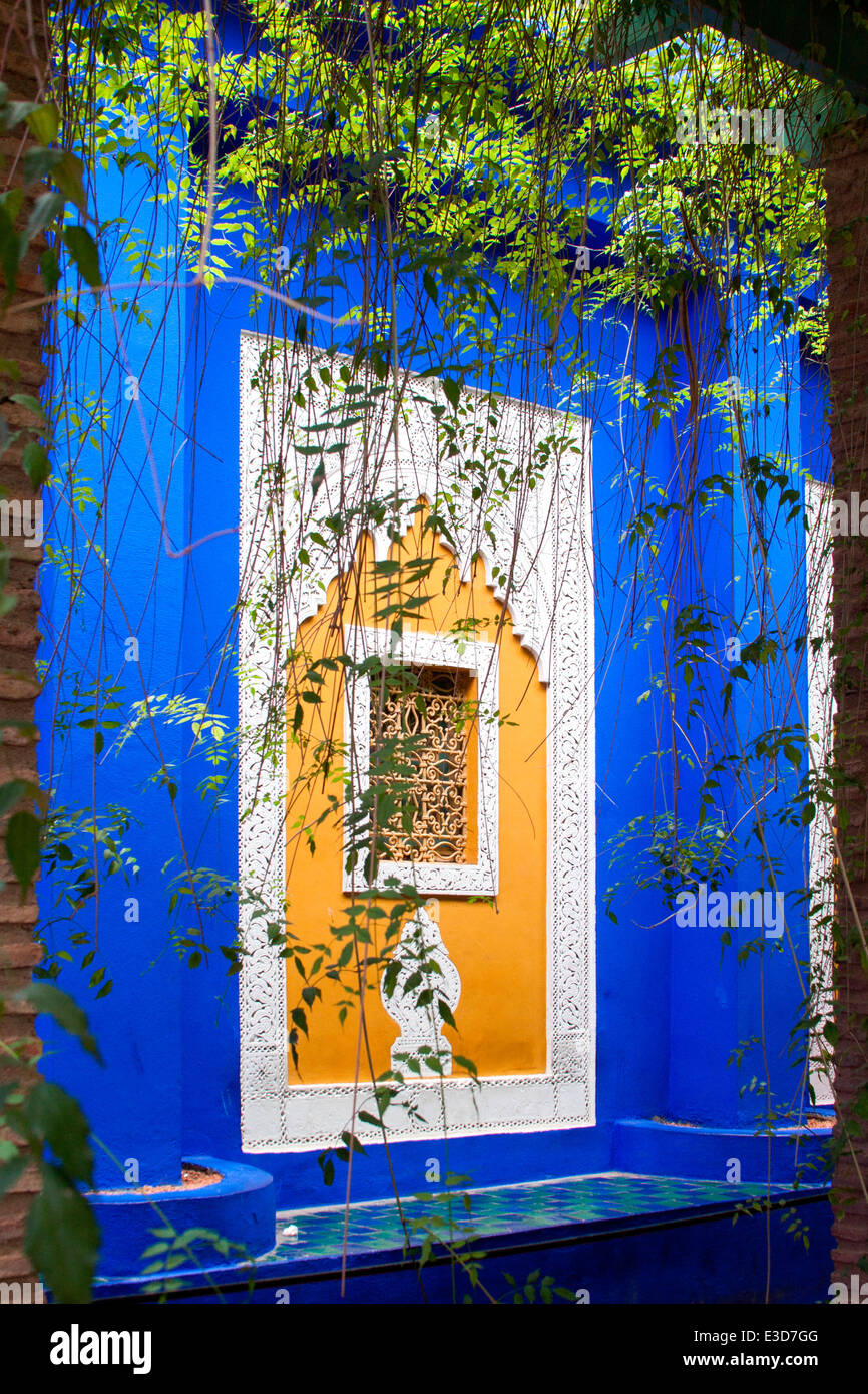 Une fenêtre encadrée de Jasmine dans les magnifiques jardins Majorelle restauré avec soin par Yves Saint-Laurent, à Marrakech, au Maroc. Banque D'Images