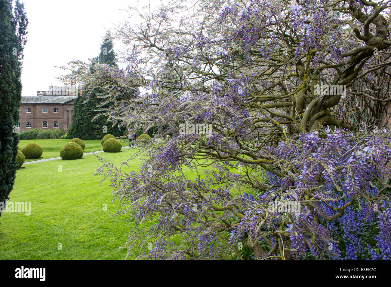 Benthall Hall est un édifice du xvie siècle situé dans la campagne anglaise Benthall, près de la ville de Broseley, Shropshire, Angleterre. Banque D'Images