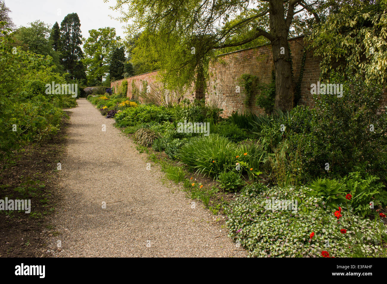 Un jardin victorien avec bois et plantes herbacées rarement en dehors des grands jardins botaniques. Banque D'Images