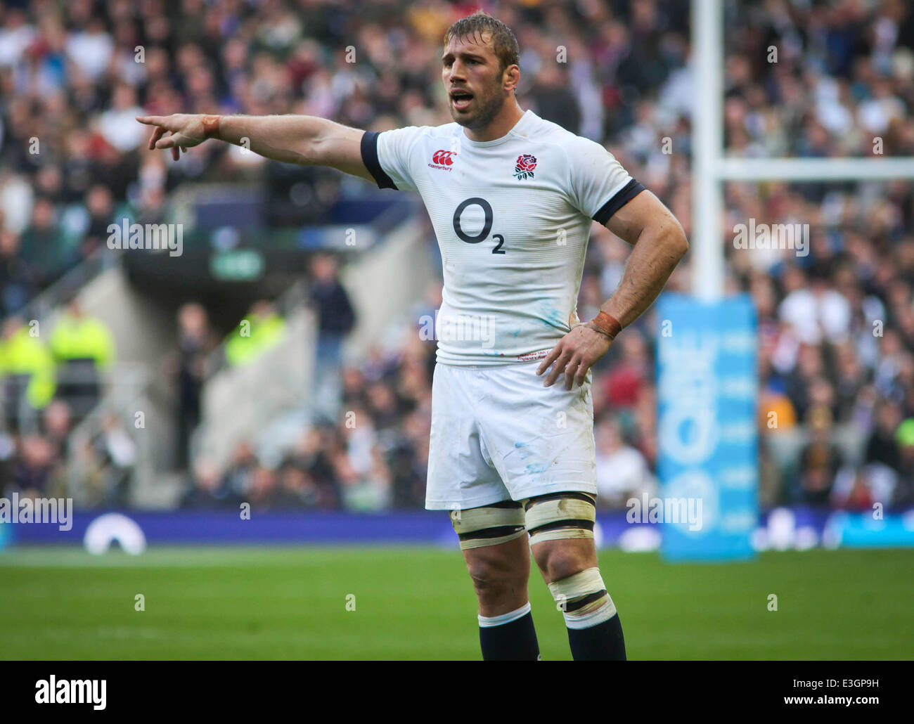 QBE International : l'Angleterre contre l'Australie à Twickenham en vedette : Chris Robshaw Où : London, Royaume-Uni Quand : 02 Nov 2013 Banque D'Images