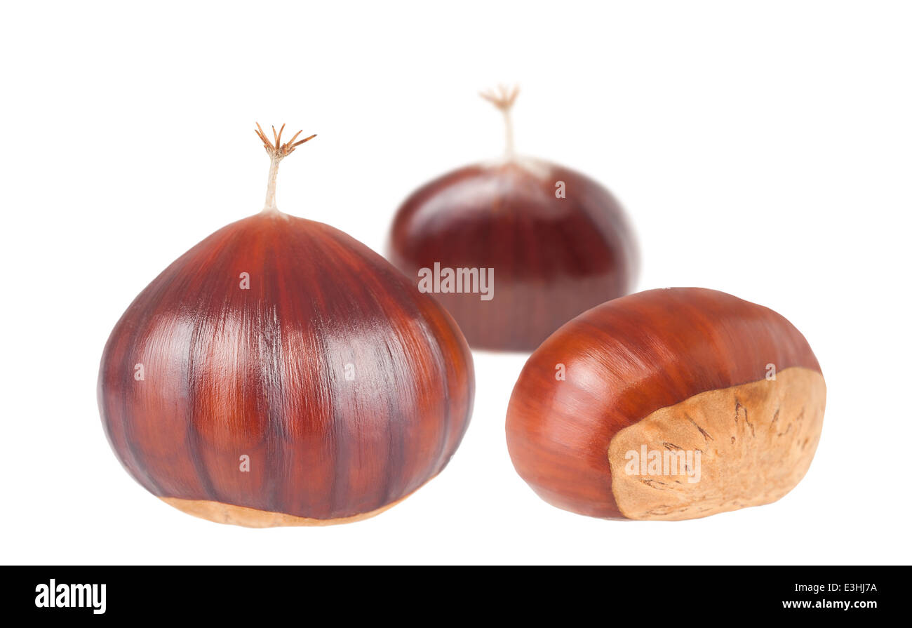 Fruits marrons isolated on white Banque D'Images